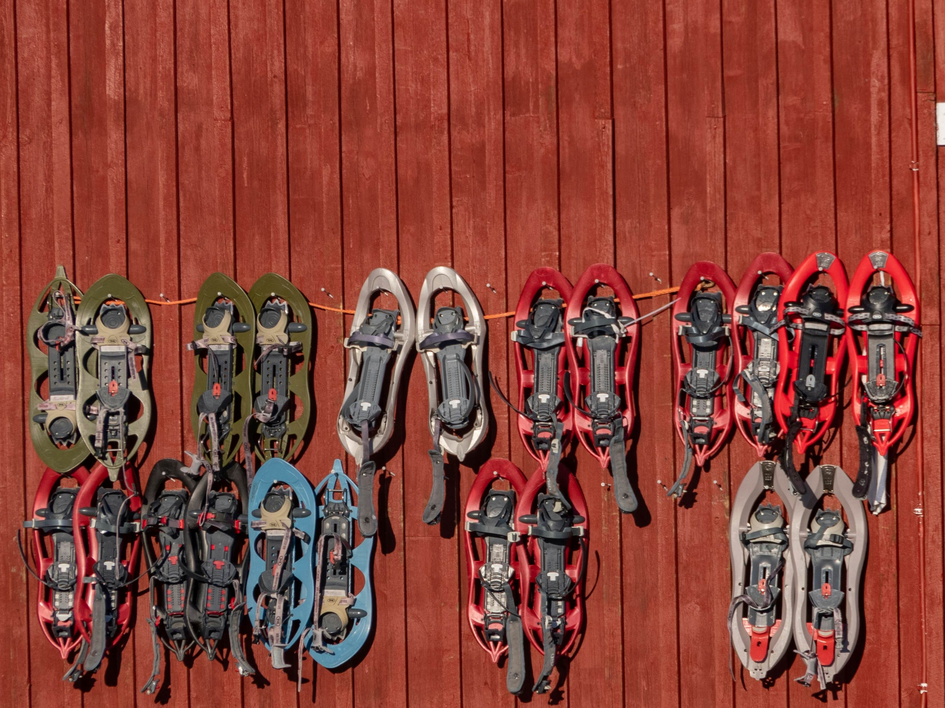 A striking pattern of diverse snowshoes hangs neatly on the textured, rustic red wall of a traditional building in Abisko, Sweden. Lapland, Skandinavia; Shutterstock ID 2673322987; purchase_order:65050 - Digital Destinations and Articles; job:Digital; client:Dream trips; other:Sarah Stocking
2673322987