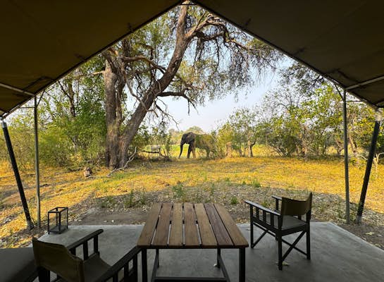 A guide to taking a safari in Southern Africa