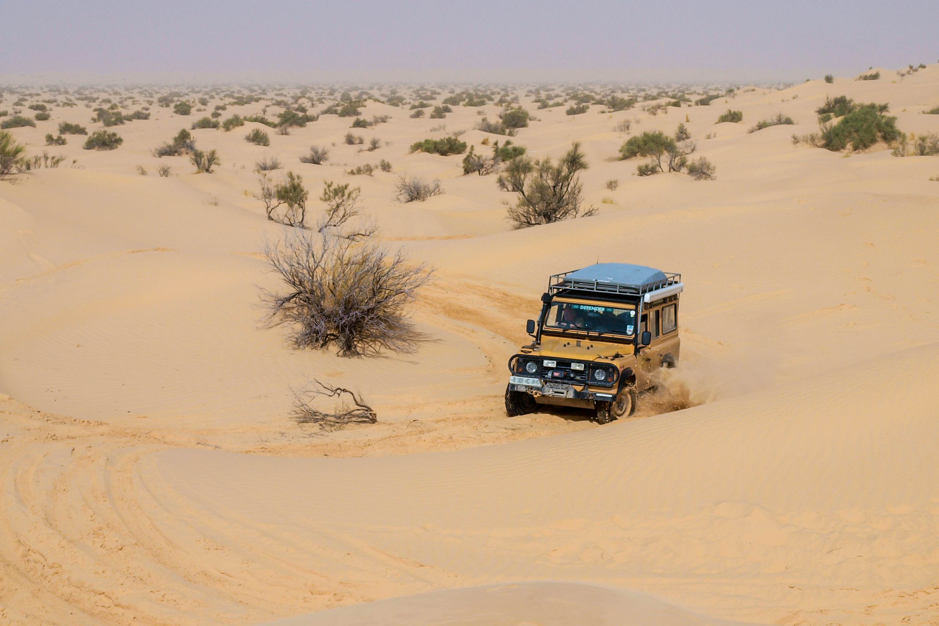 SAHARA DESERT, TUNISIA - OCTOBER 12 - 4X4 vehicle navigate the dunes of the Sahara as part of a guided tour on 12 October 2010.  North Africa is a popular destination for overland travel tours., License Type: media, Download Time: 2025-12-01T18:25:15.000Z, User: joebindloss38, Editorial: true, purchase_order: 65050 - Digital Destinations and Articles, job: Online Editorial, client:  How to get around in Tunisia, other: Joe Bindloss