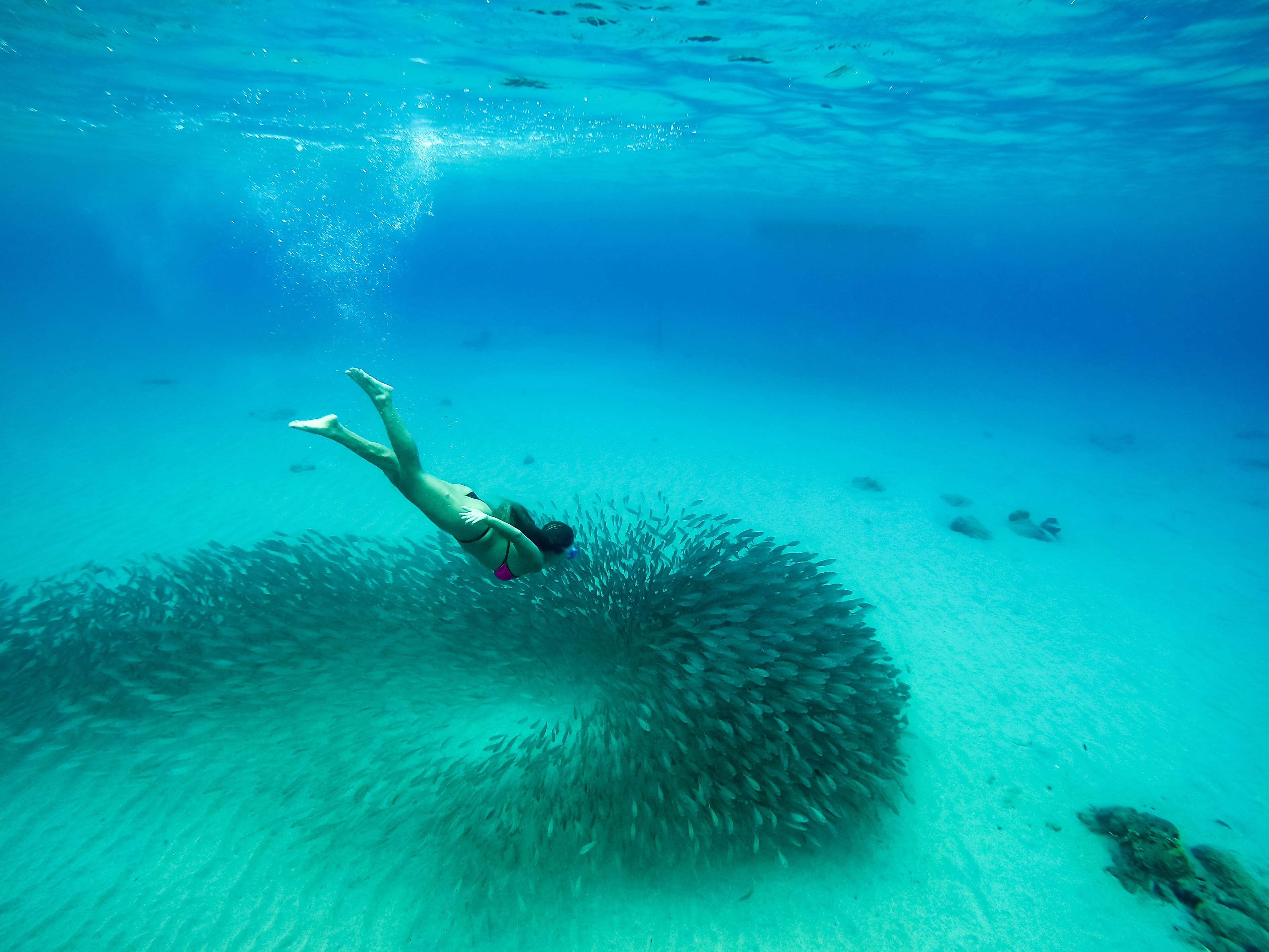 A person swims down toward a school of fish