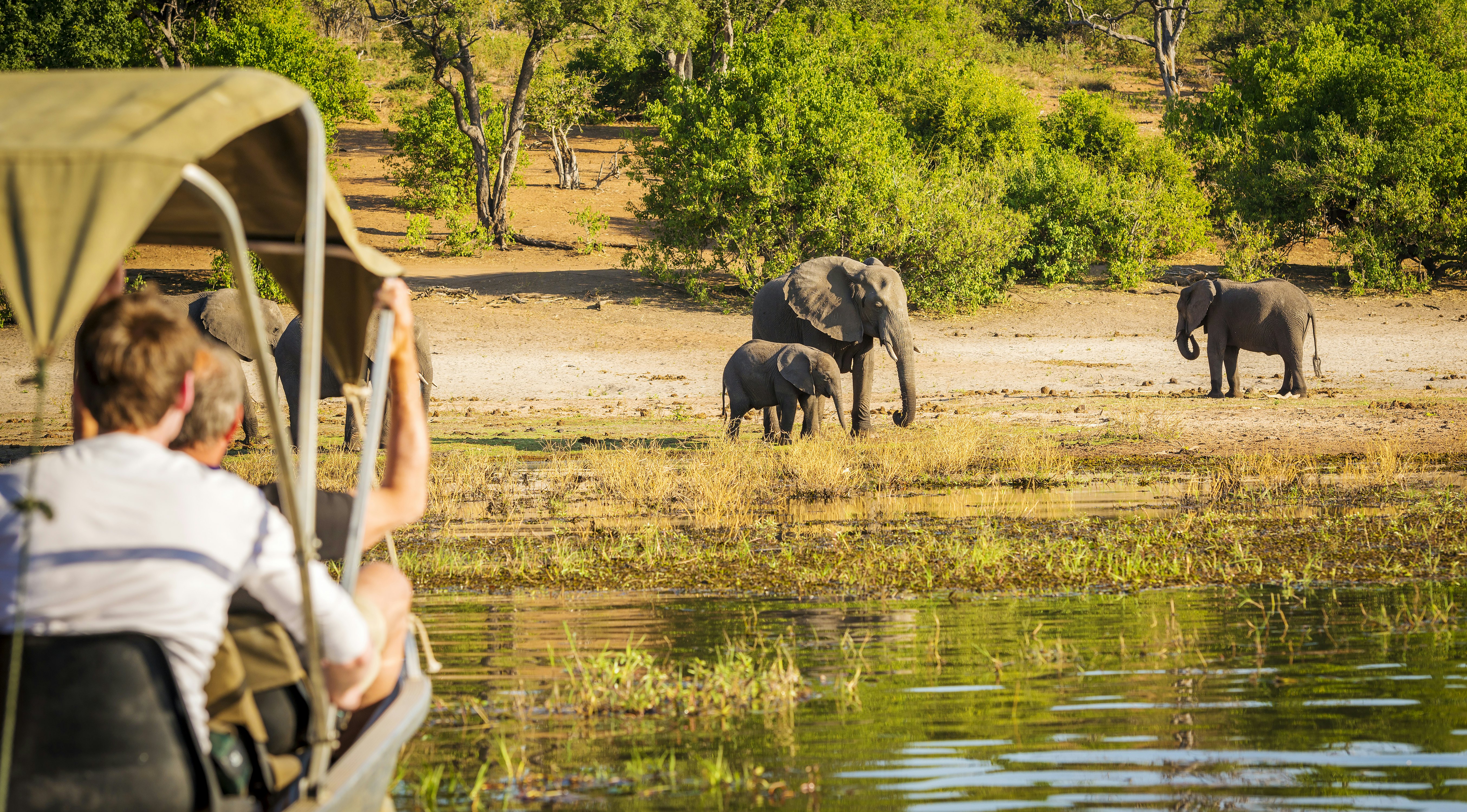 Tourists watching an elephant while on safari in Botswana, Africa