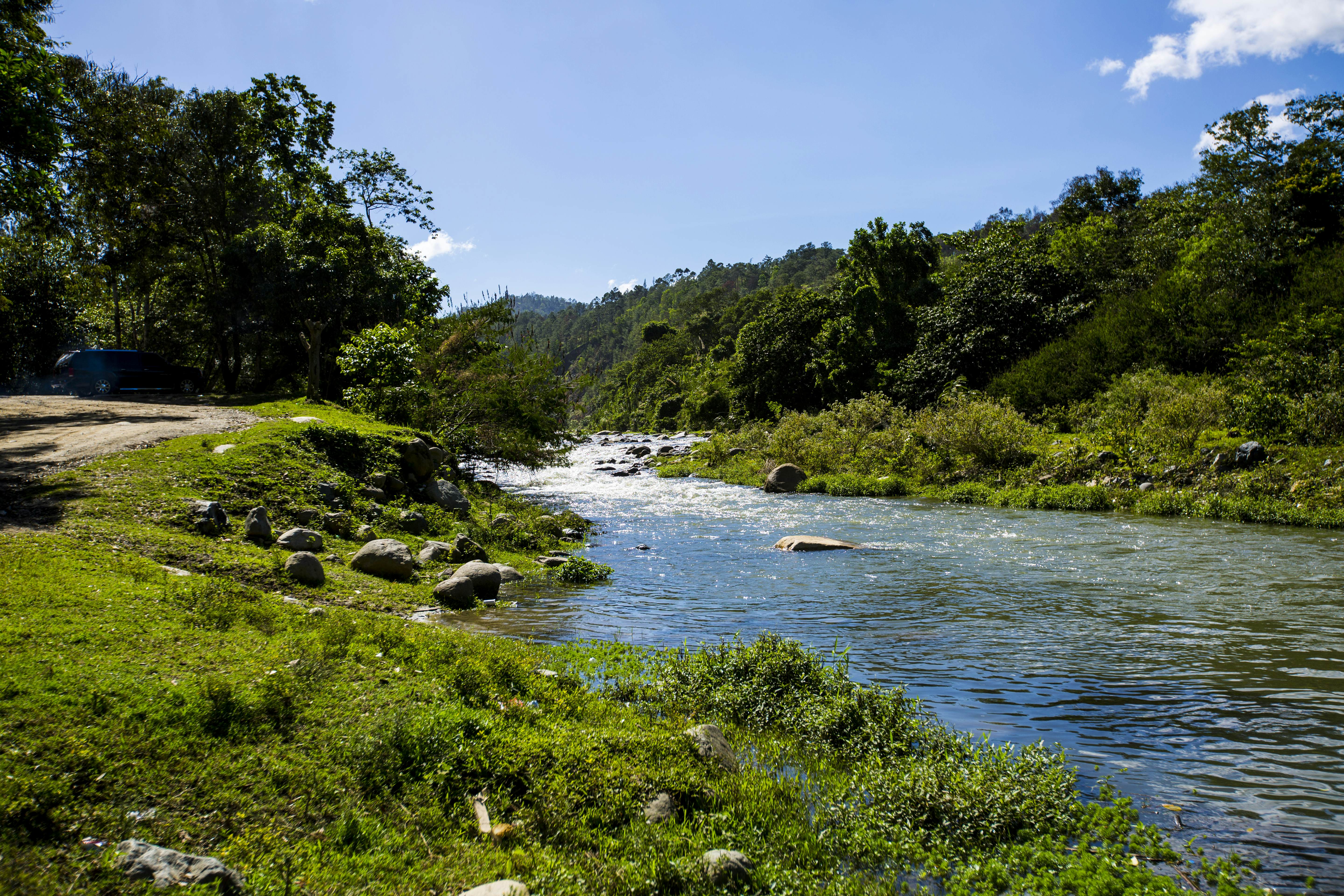 A calm river has a patch of white water rapids upstream.