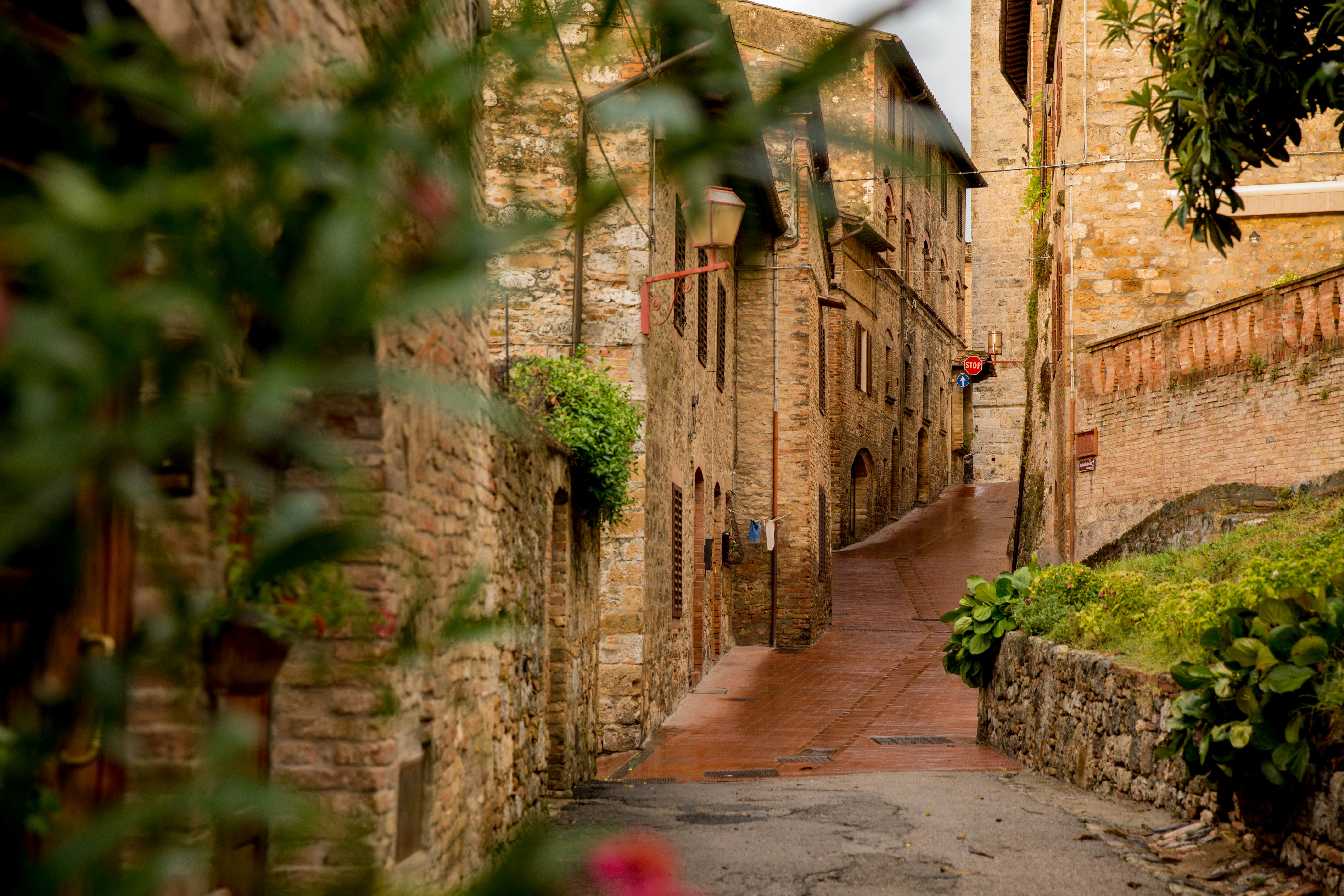 Autumn in San Gigmignano (Italy, Tuscany) , License Type: media, Download Time: 2025-02-07T16:47:26.000Z, User: rhylton_redventures, Editorial: false, purchase_order: 65030 - Newsletter, job:  Lonely Planet WIP, client: Lonely Planet WIP, other: Rhianydd Hylton
