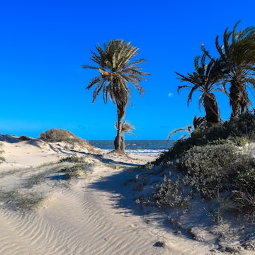 Ras El Rmal island of Djerba. Beautiful beach and Mediterranean sea under the blue sky. Gulf of Gabes. Tunisia. Northern Africa, License Type: media, Download Time: 2025-12-02T22:14:49.000Z, User: joebindloss38, Editorial: false, purchase_order: 65050 - Digital Destinations and Articles, job: Online editorial, client: The 9 best places to visit in Tunisia, other: Joe Bindloss