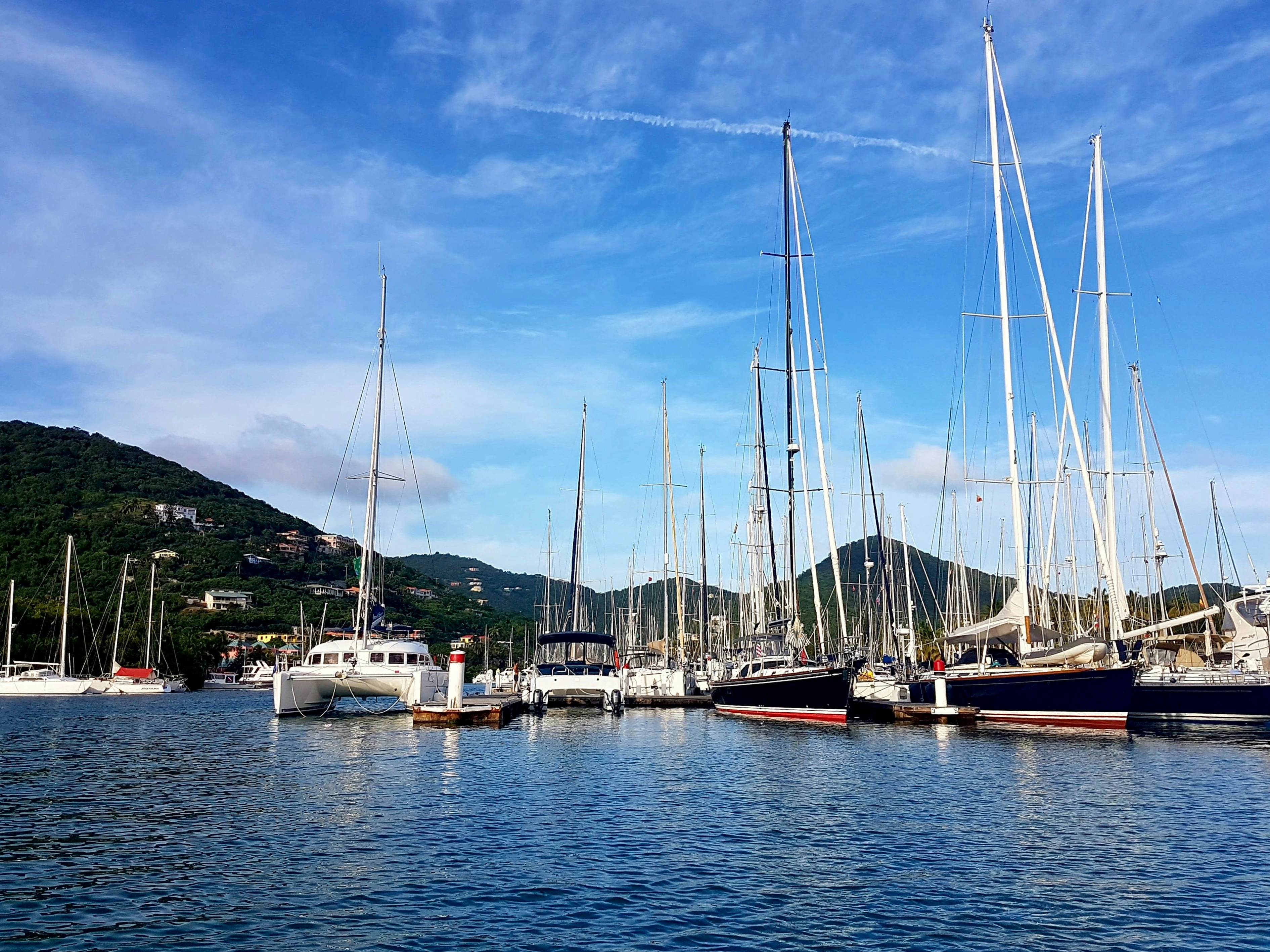 Sailboats in a marina on a sunny day.