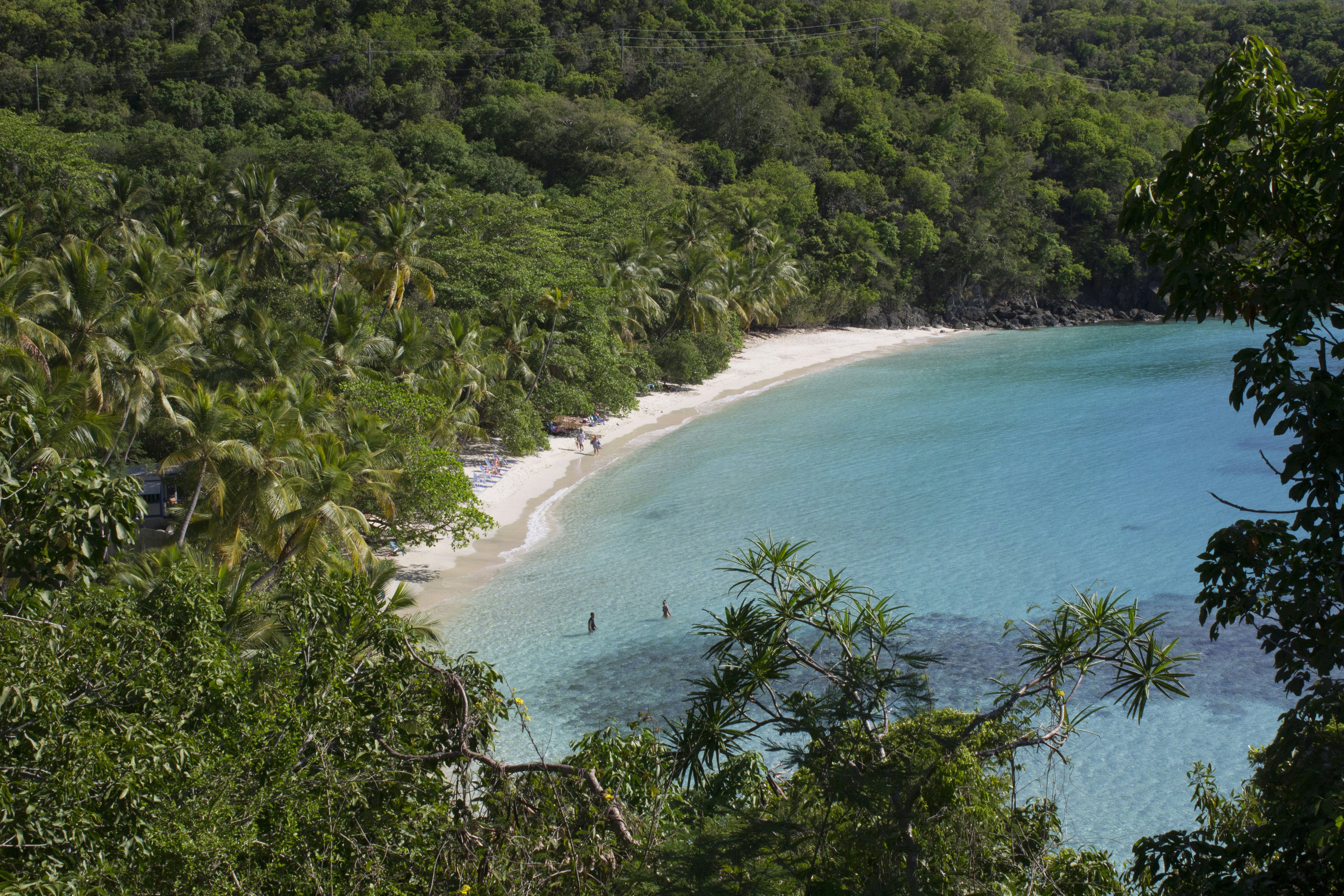 Aerial view of a bay and beach with palm trees surrounding