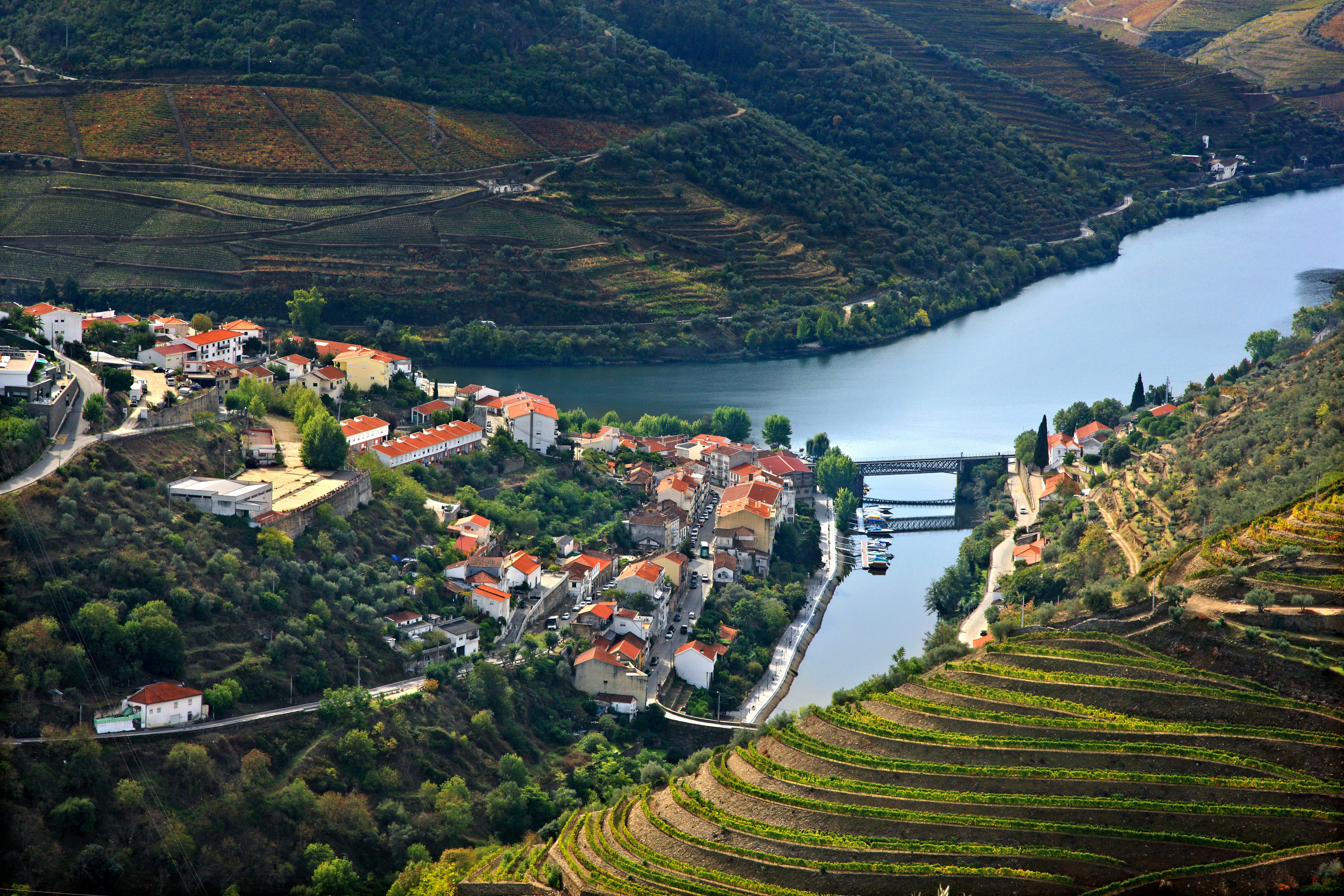 Aerial view of town with red-roofed houses along a wide river with planted hillsides in the foreground on a sunny day.