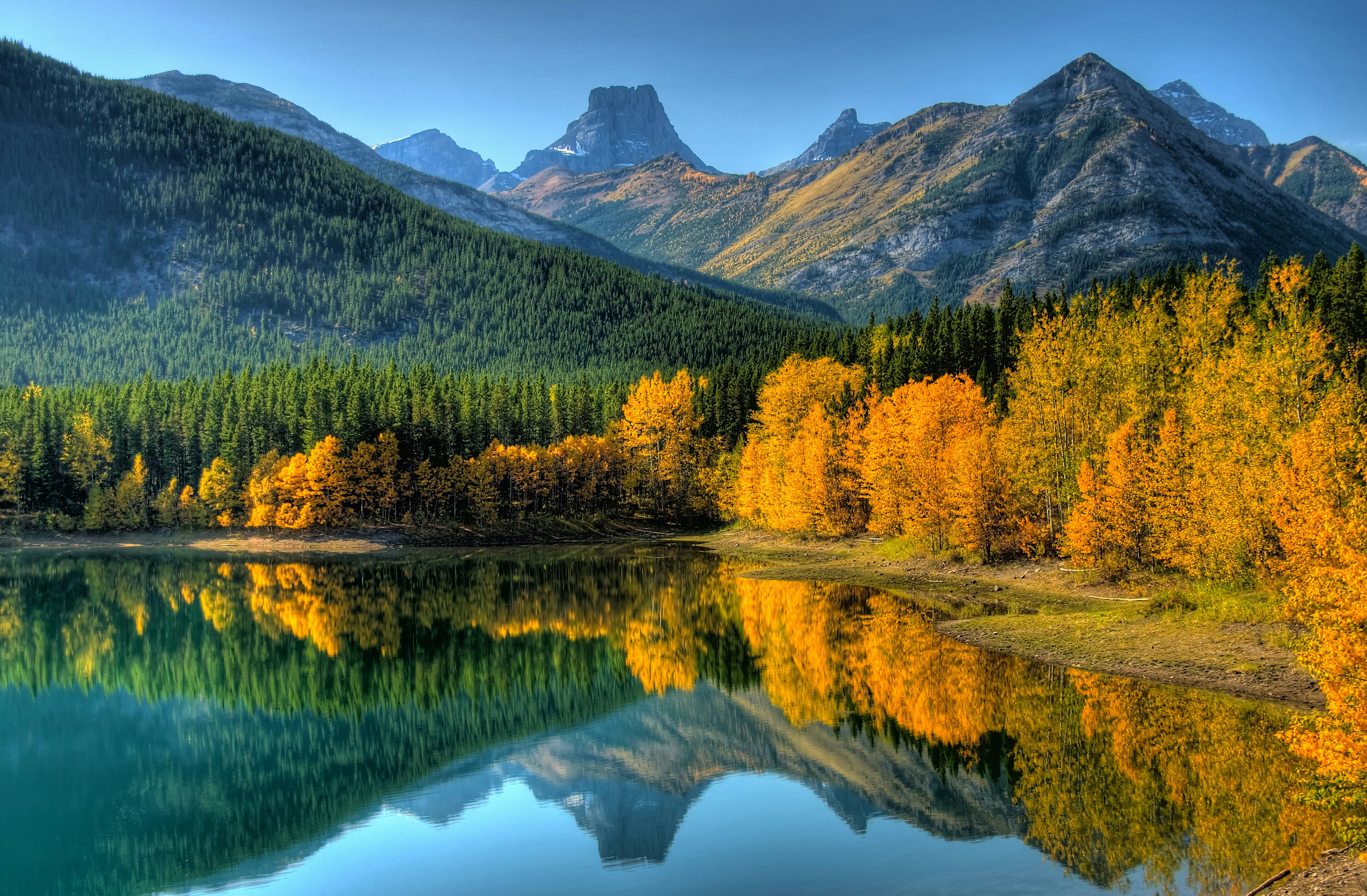 Golden trees by a lake are reflected in the water's surface along with the evergreen-covered mountains in the background.