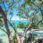 Indian Key, Islamorada, Florida, License Type: media, Download Time: 2025-12-17T17:37:38.000Z, User: bhealy950, Editorial: false, purchase_order: 65050 - Digital Destinations and Articles, job: Lonely Planet Online Editorial, client: Best things to do in Islamorada, other: Brian Healy