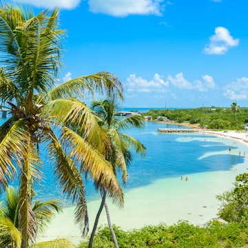 Bahia Honda State Park - Calusa Beach, Florida Keys - tropical coast with paradise beaches - USA, License Type: media, Download Time: 2025-05-29T18:47:26.000Z, User: lonelyplanetmedia, Editorial: false, purchase_order: 65050 - Digital Destinations and Articles, job: Global Publishing WIP, client: Global Publishing WIP, other: Peterson Haggarty // SS Comp Ingestion