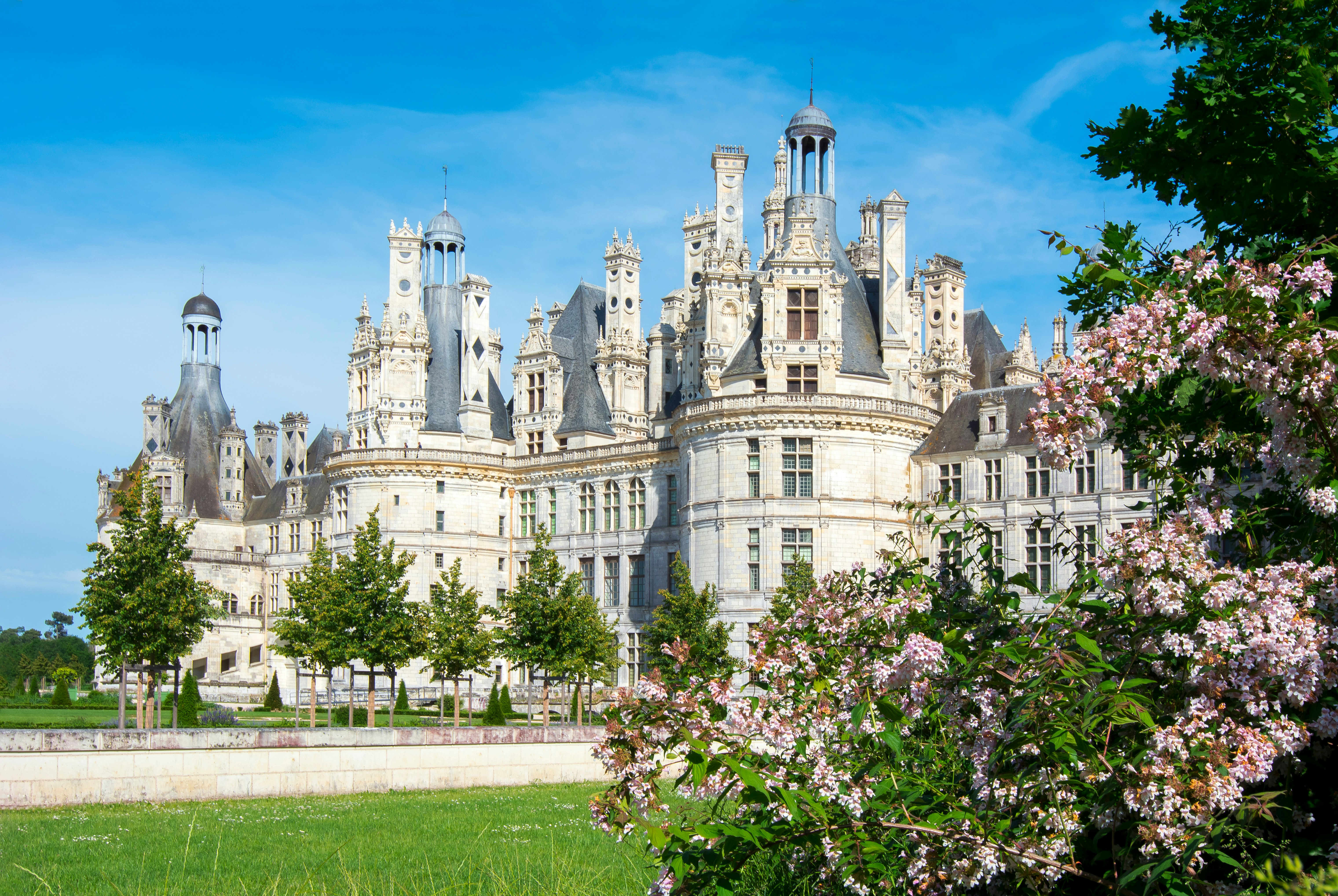 A vast castle with many turrets on a sunny spring day with blossoms on a nearby bush.