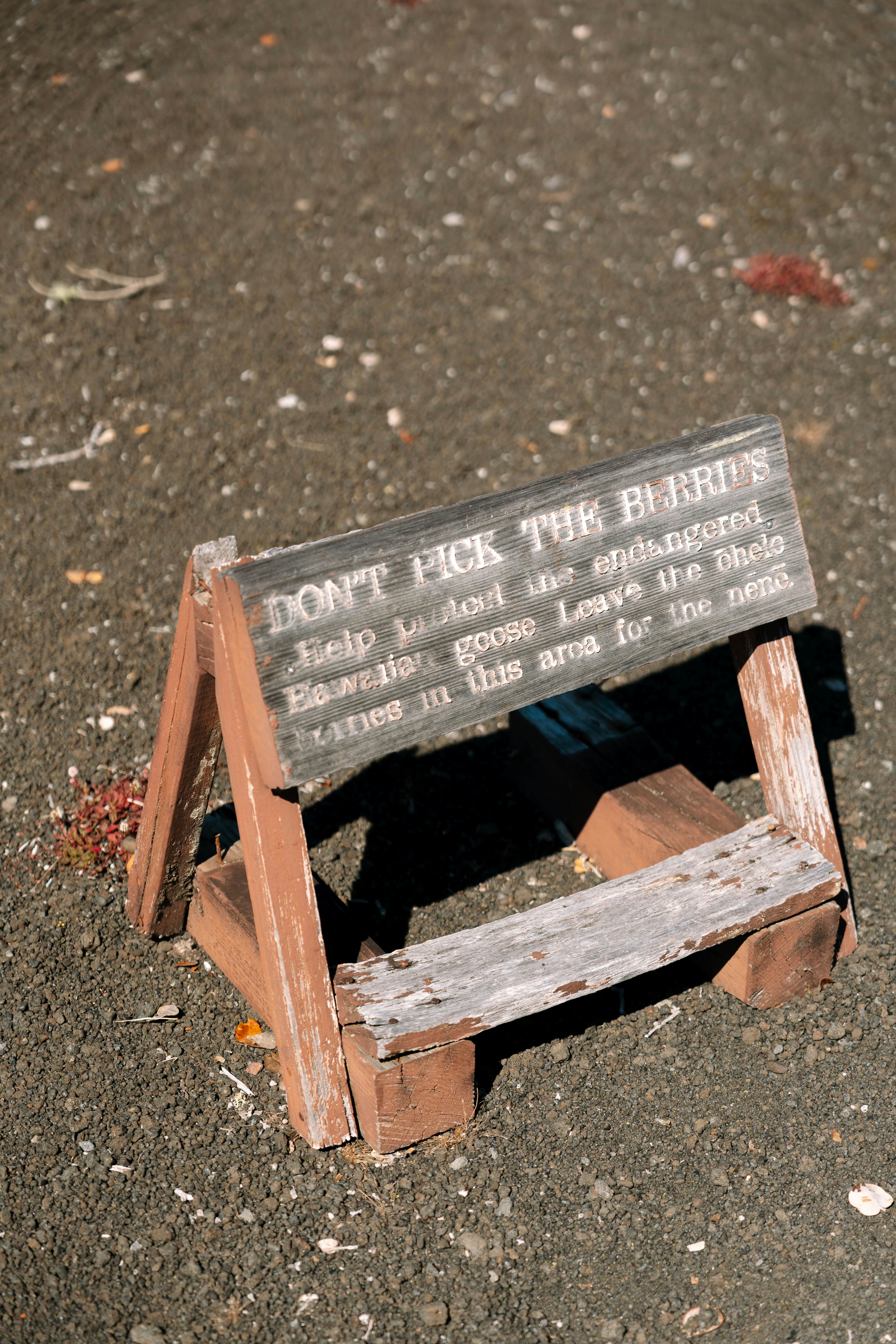 A wooden sign on a patch of dark ground in Hawai‘i says "Don't pick the berries," with other instructions.