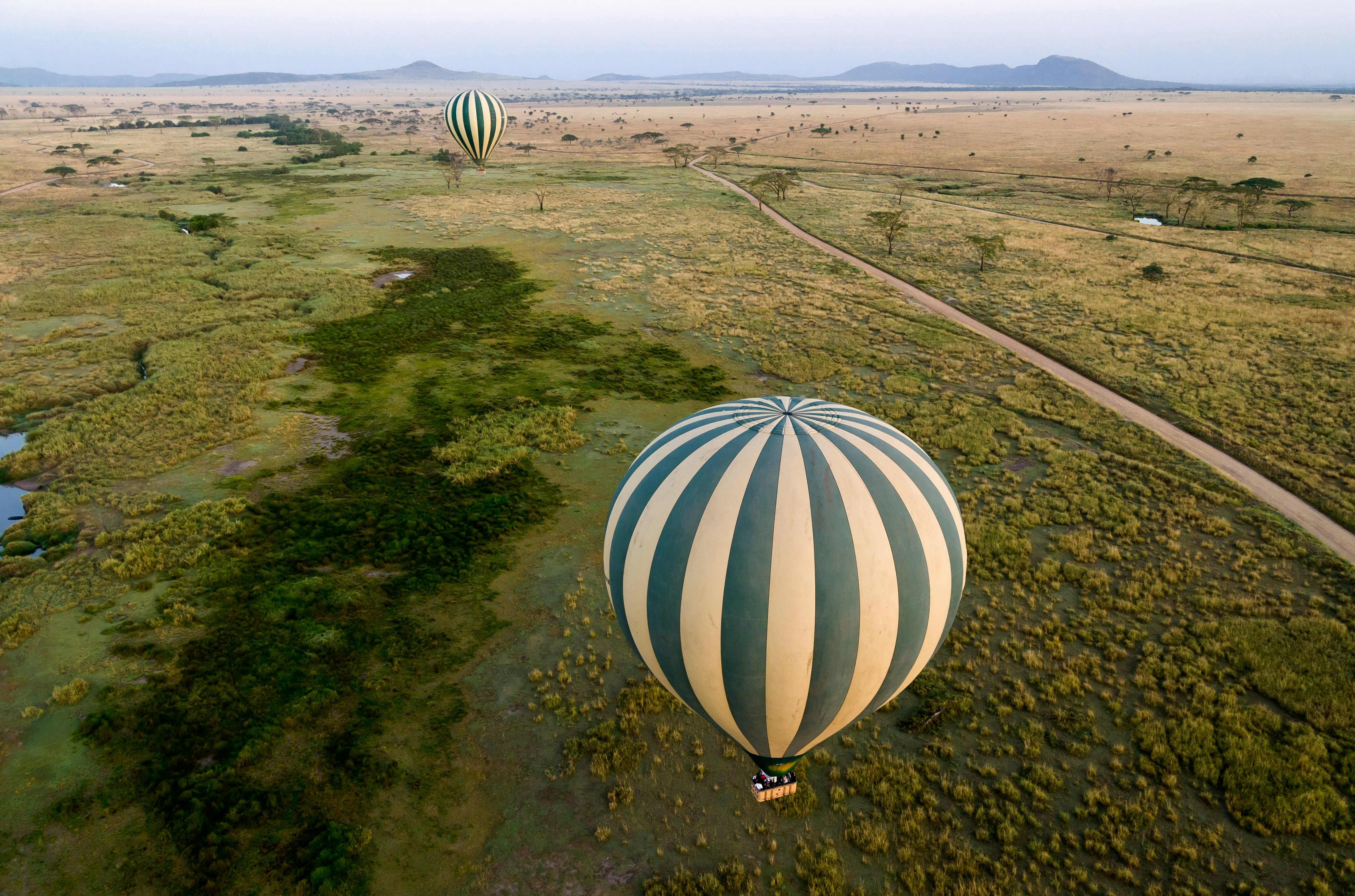 Hot-air balloons float over the grasslands in the Serengeti in Tanzania.