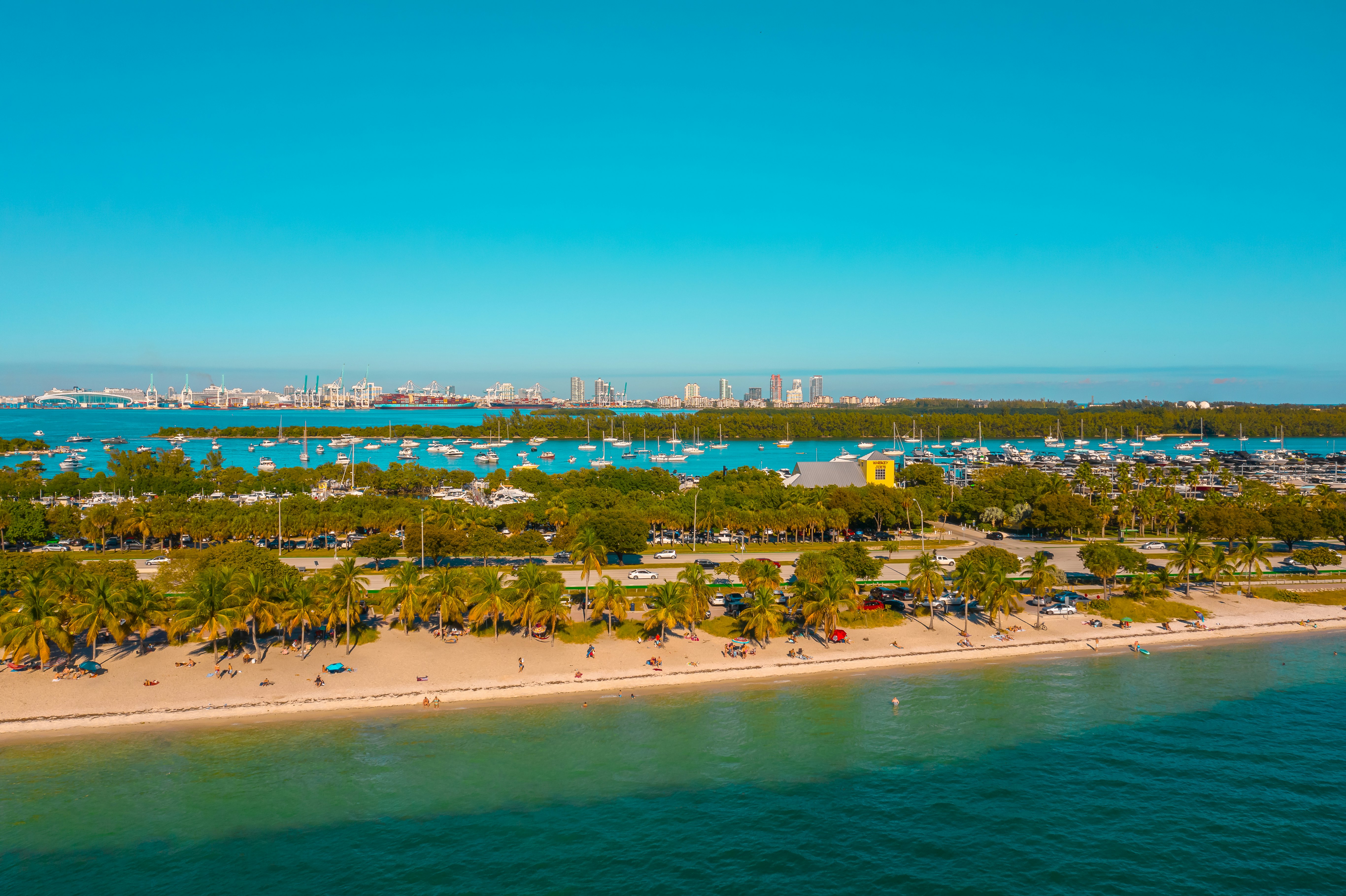 A stretch of palm tree-lined golden sand backed by a harbor and a city skyline.