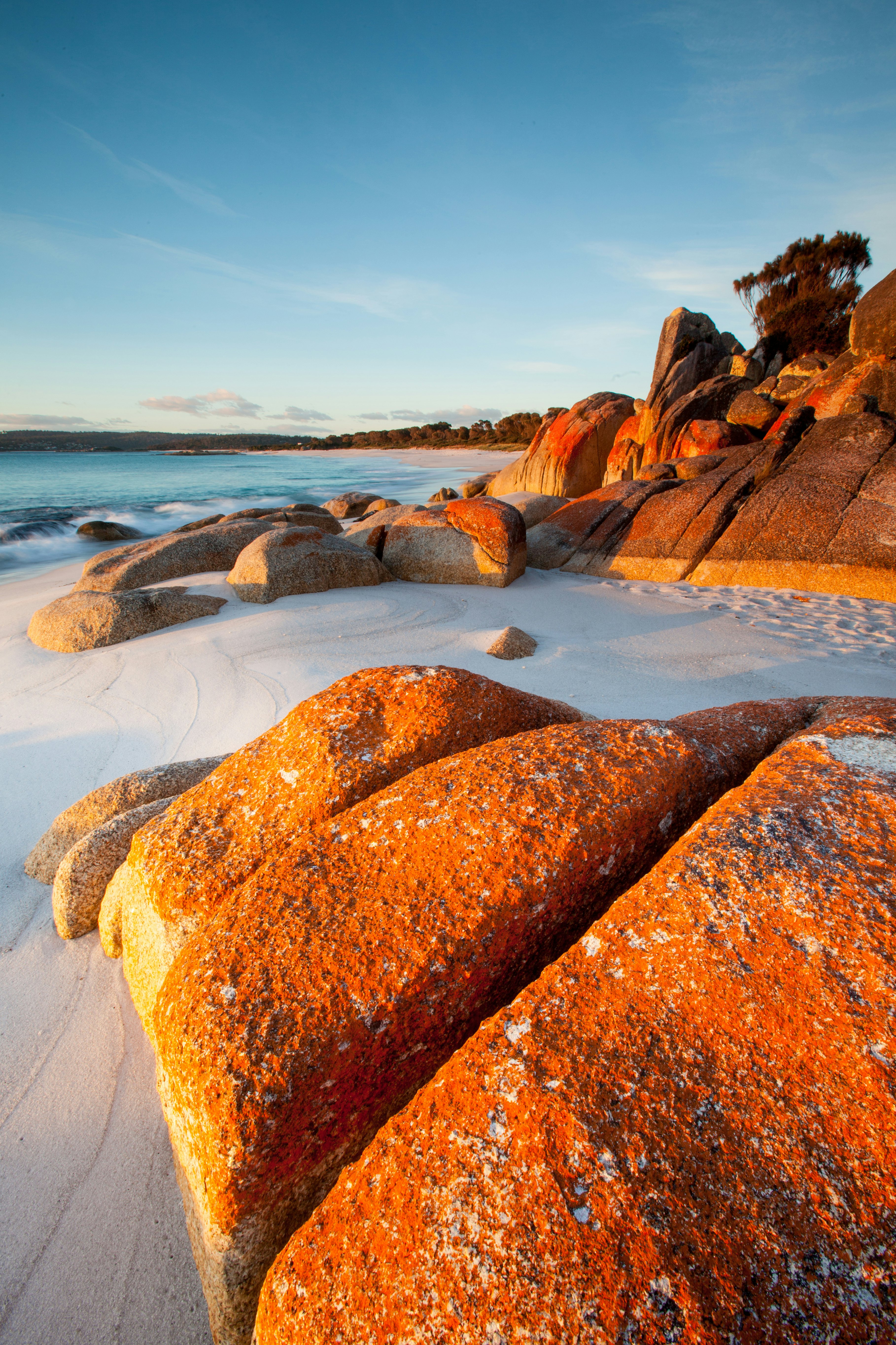 Red lichen covered boulders in the Bay of Fires in Tasmania.