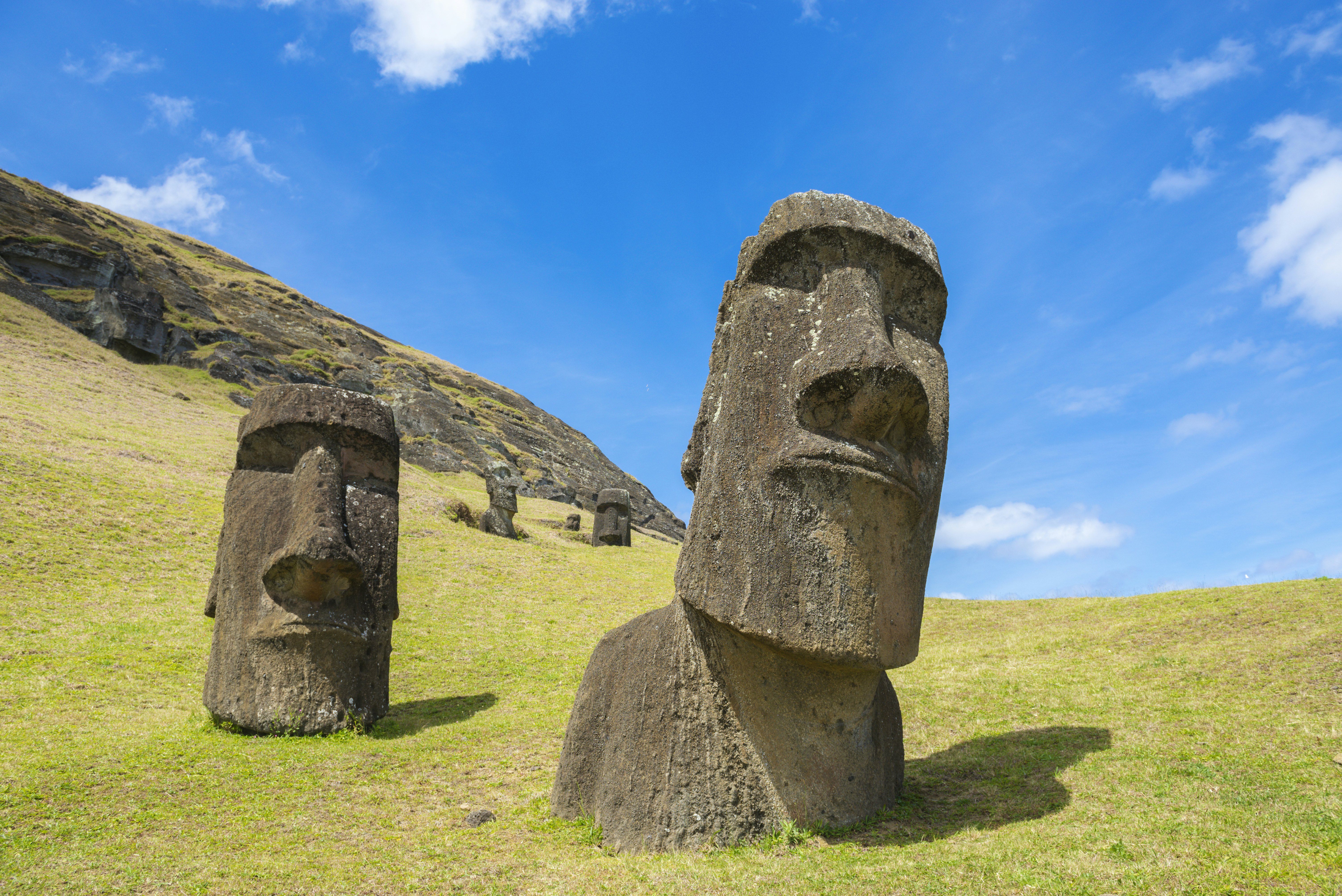 Half-buried moai sitting where they were carved at Rano Raraku, Rapa Nui (Easter Island), Chile.
