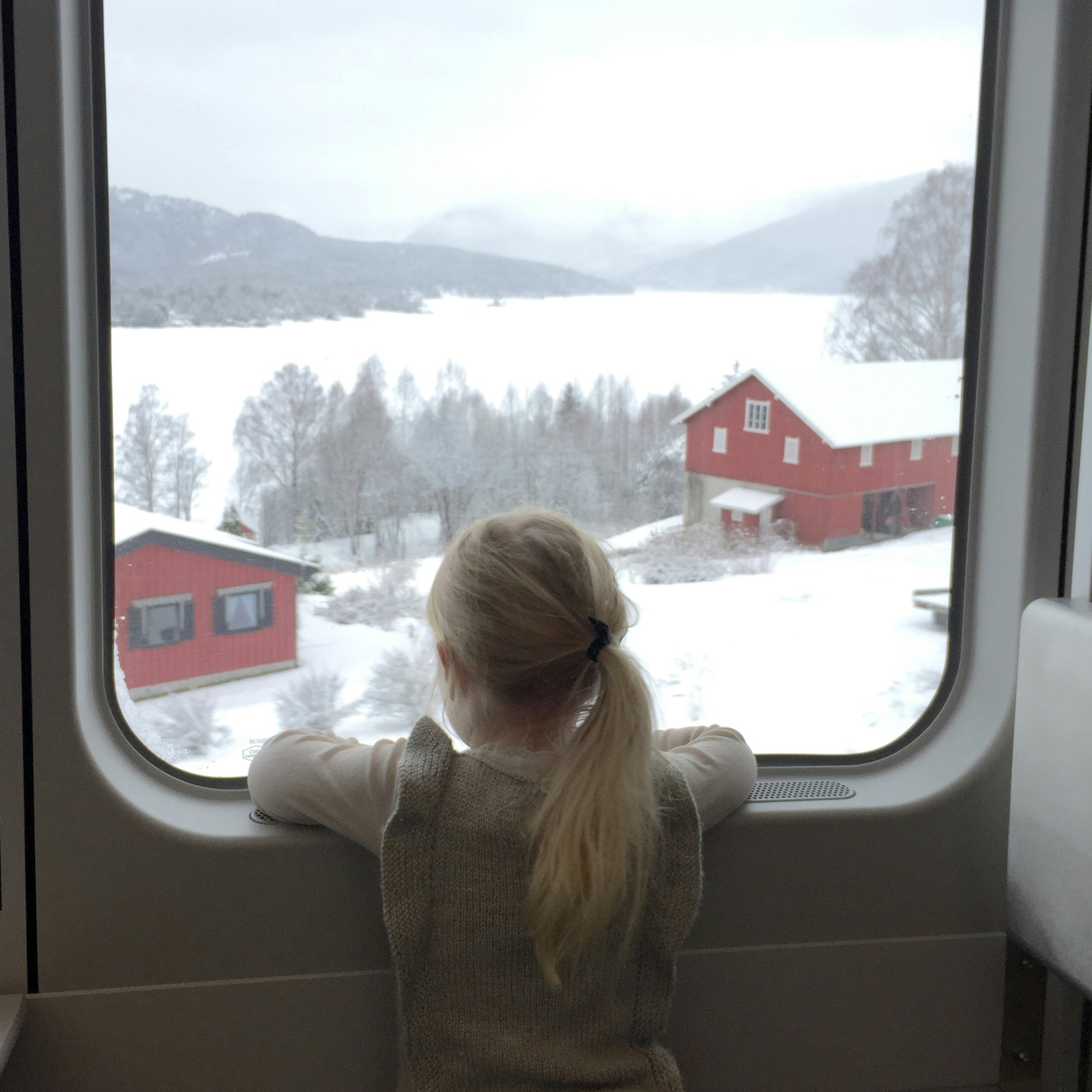 A child looks out the window on the Bergensbanen train line from Oslo to Bergen.