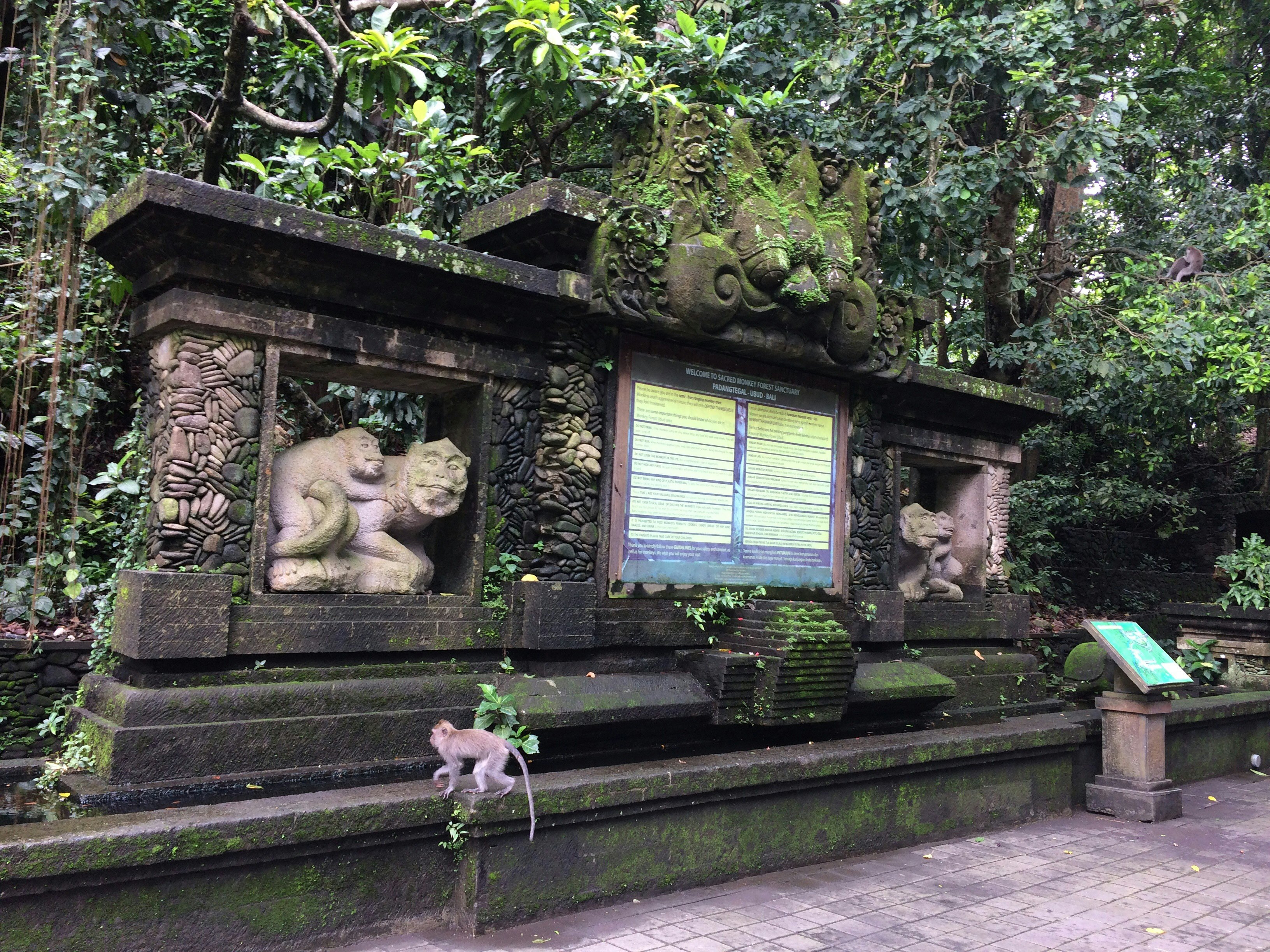 Sacred Monkey Forest Sanctuary