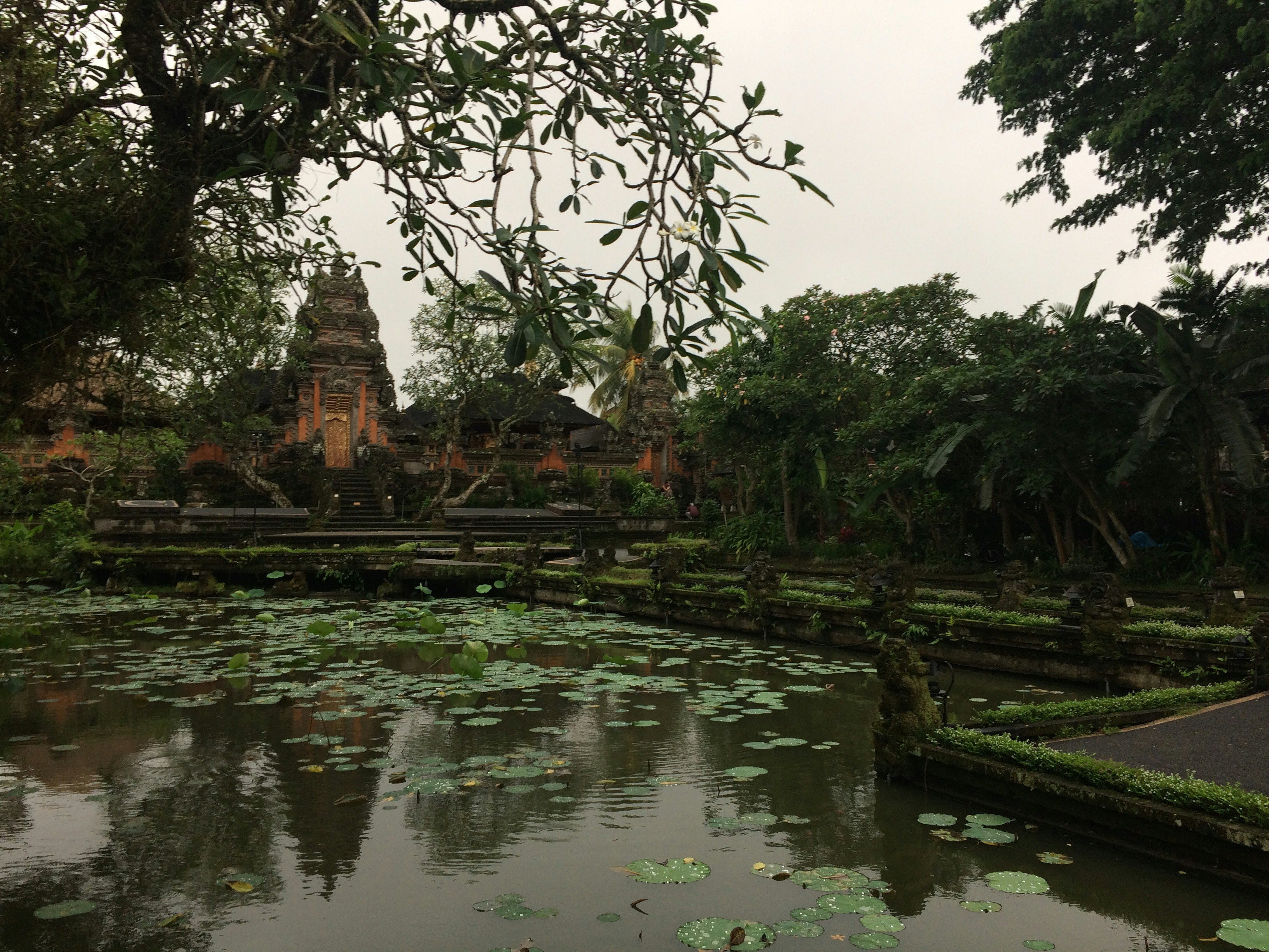A temple in Indonesia is set beyond a pool with water lilies.