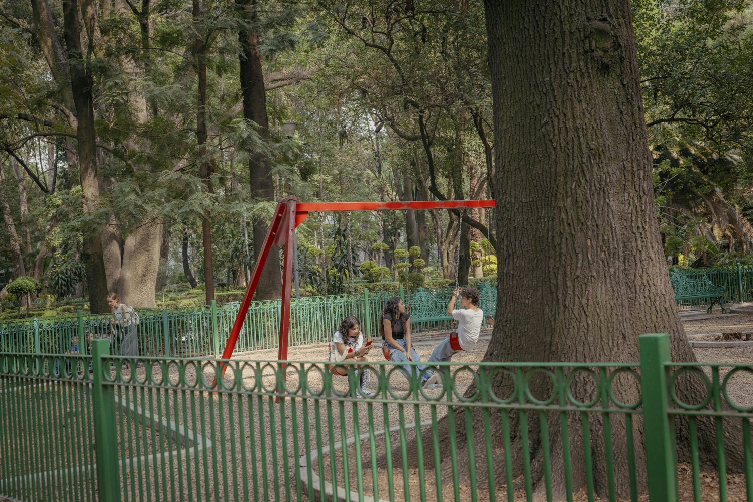 Young people sit on swings under a huge tree in a city park.