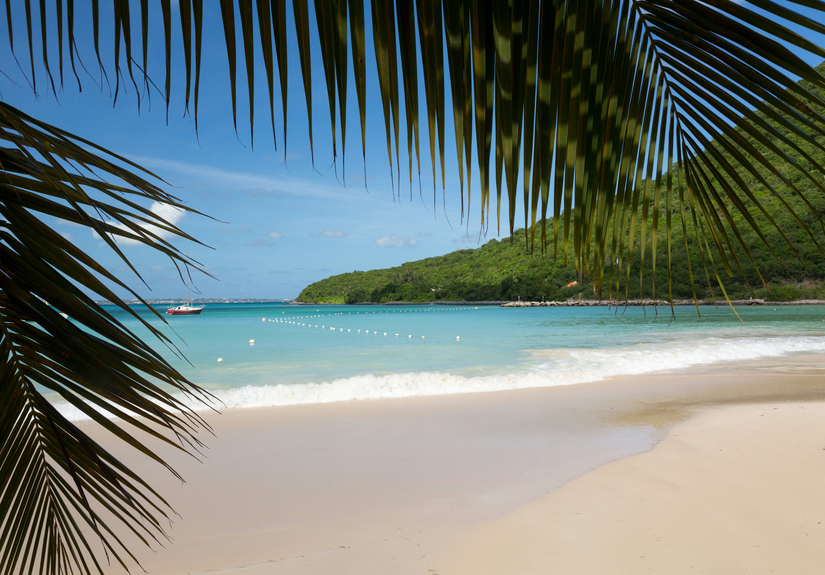 A deserted tropical beach is framed by palm fronds.
