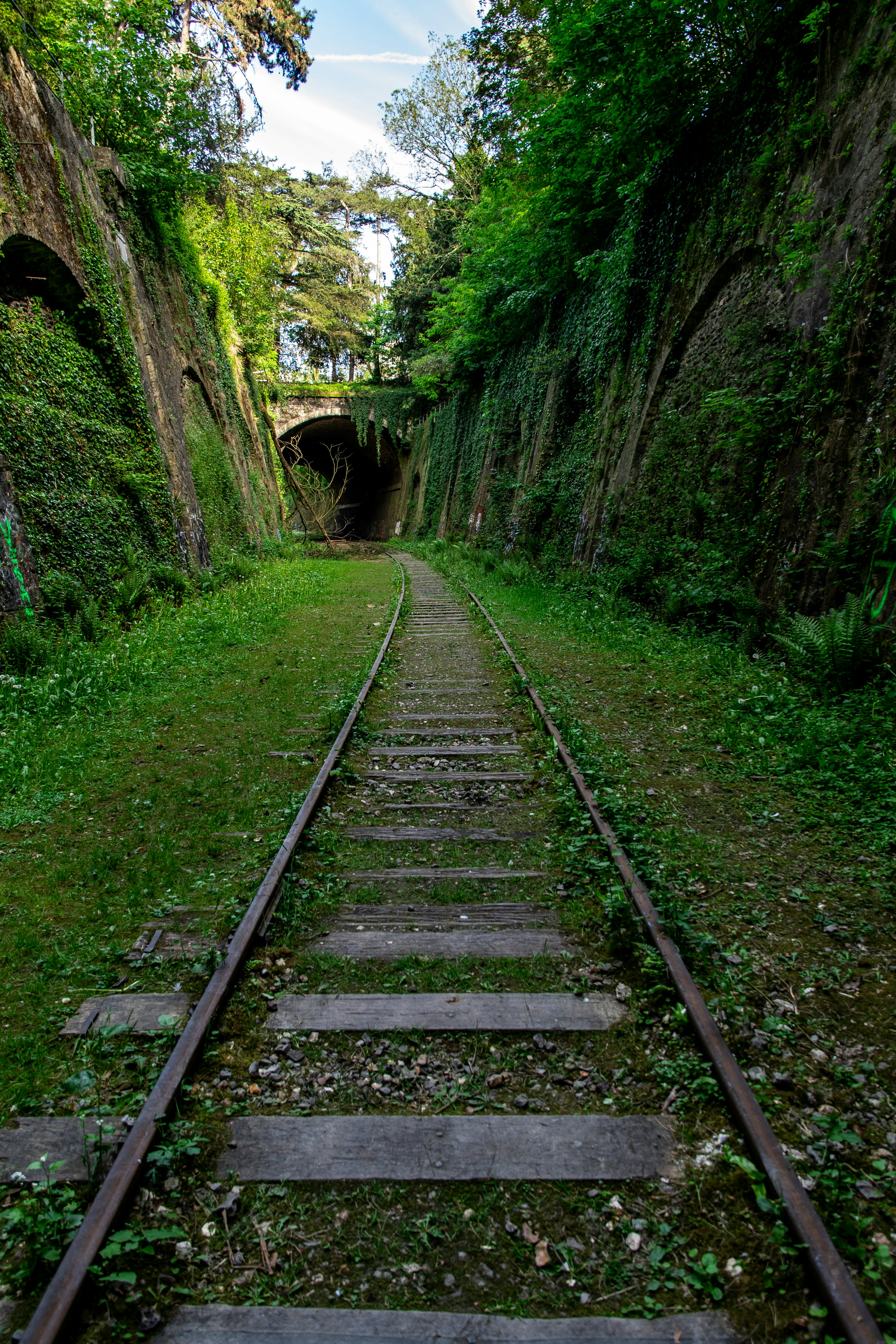 Portrait photo of an old wooden abandoned railway tunnel with plants and trees on the walls with the sun peaking through branches and graffitis on the walls. Shot in Paris's Petite Ceinture, France.