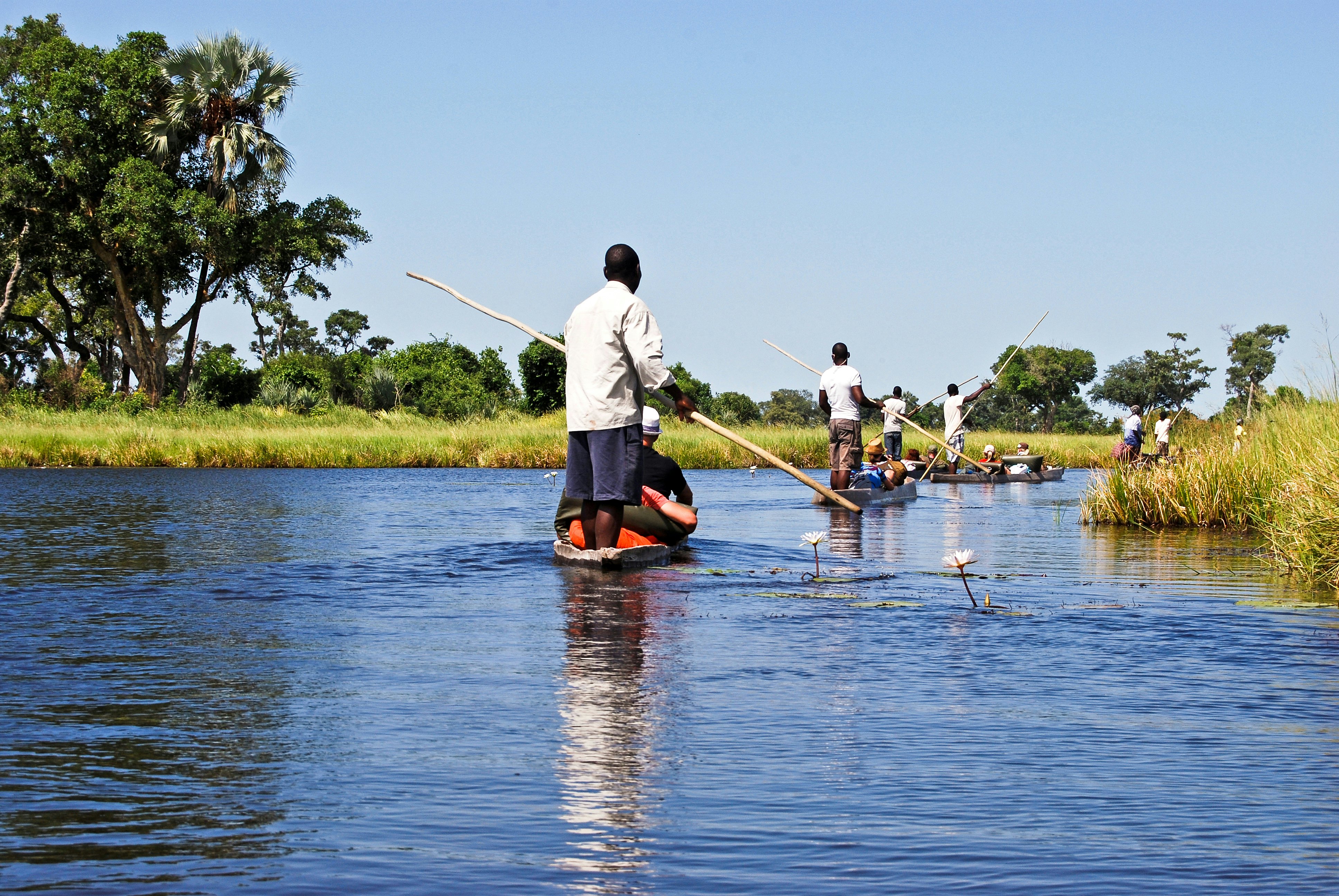 Passengers sitting in dugout canoes on a safari through a waterway. Guides steer the canoes using long poles.