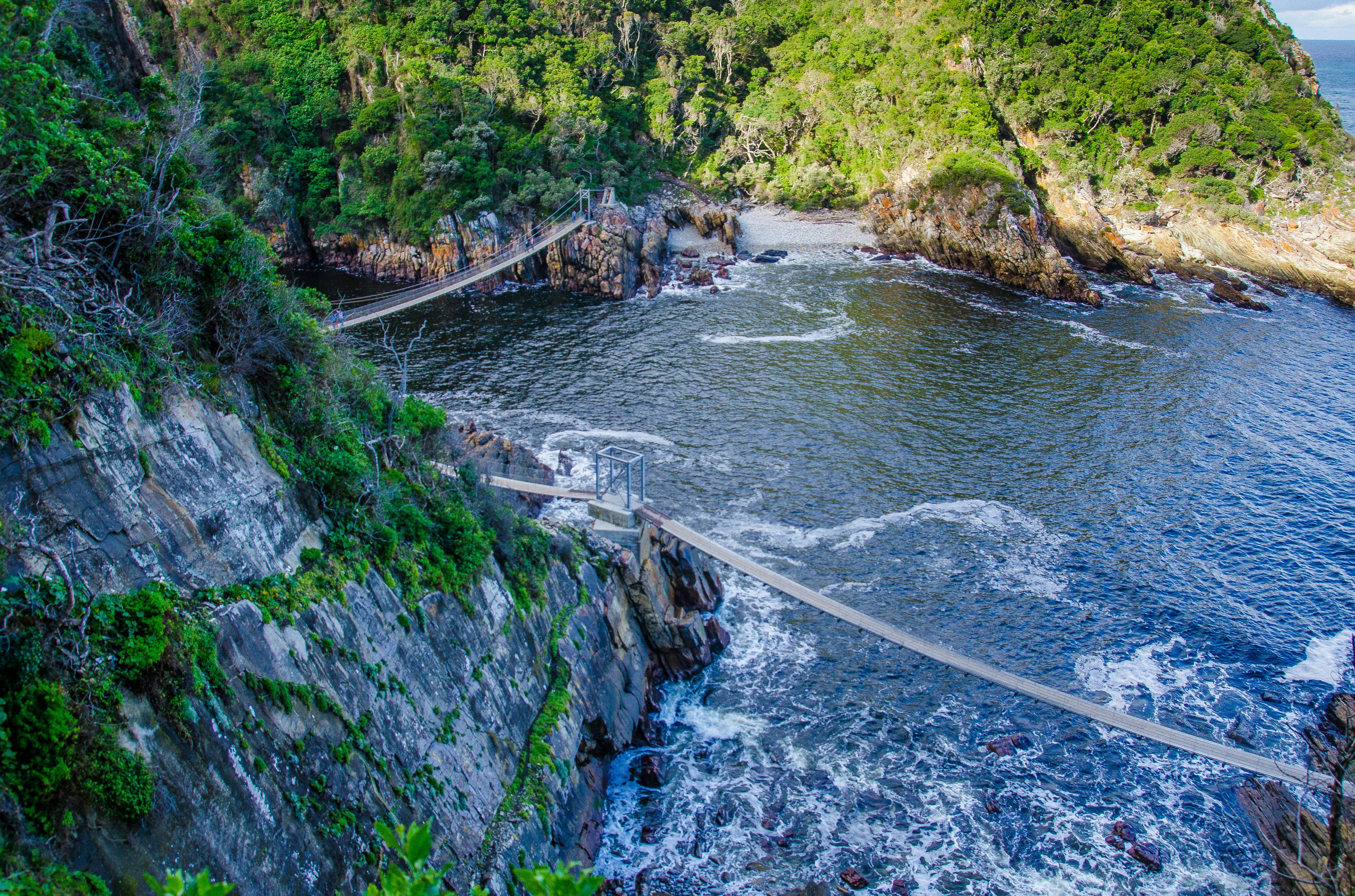 Hanging bridges above sea in The Tsitsikamma Section of the Garden Route National Park, South Africa.