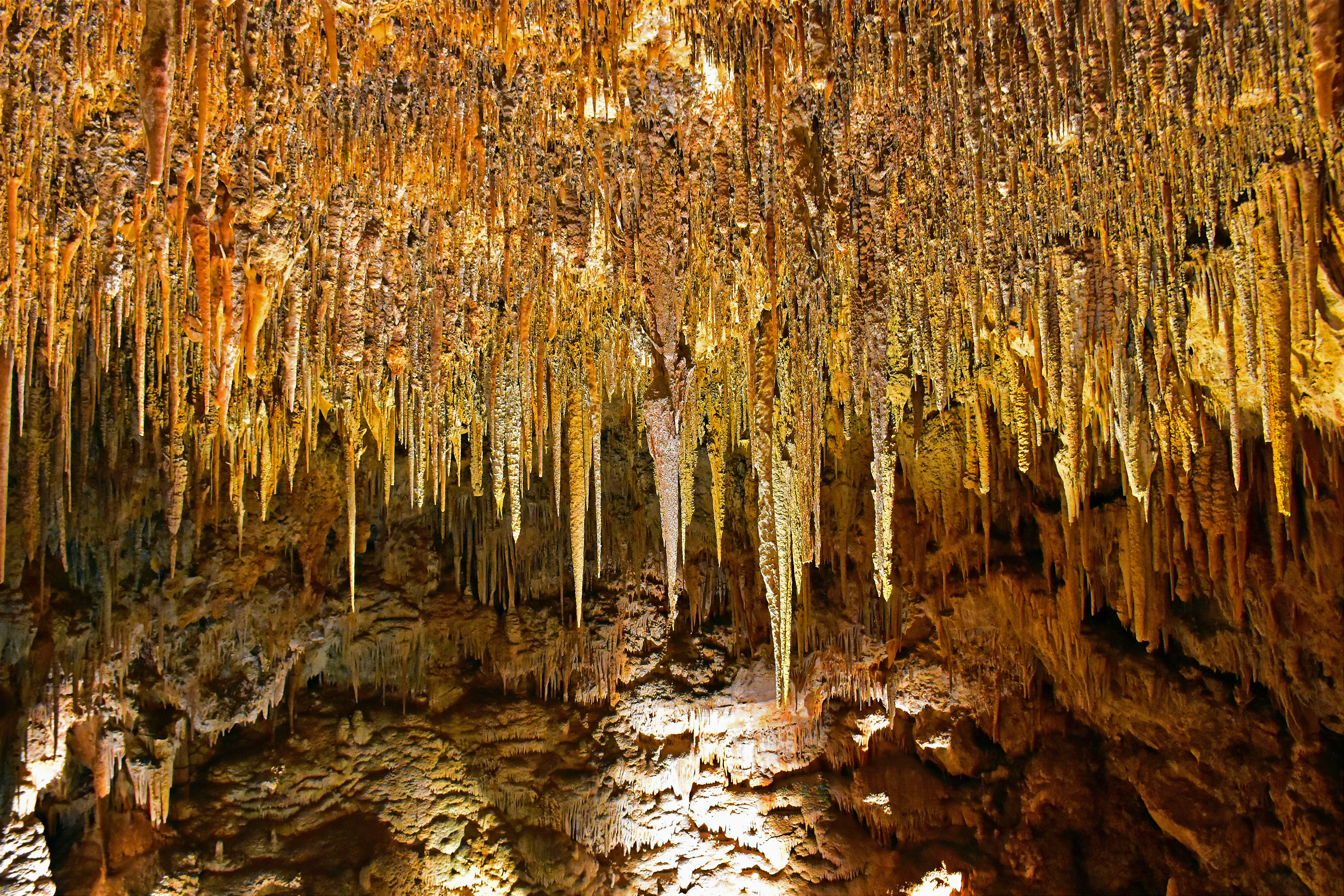 The golden interior of the Ngilgi Cave