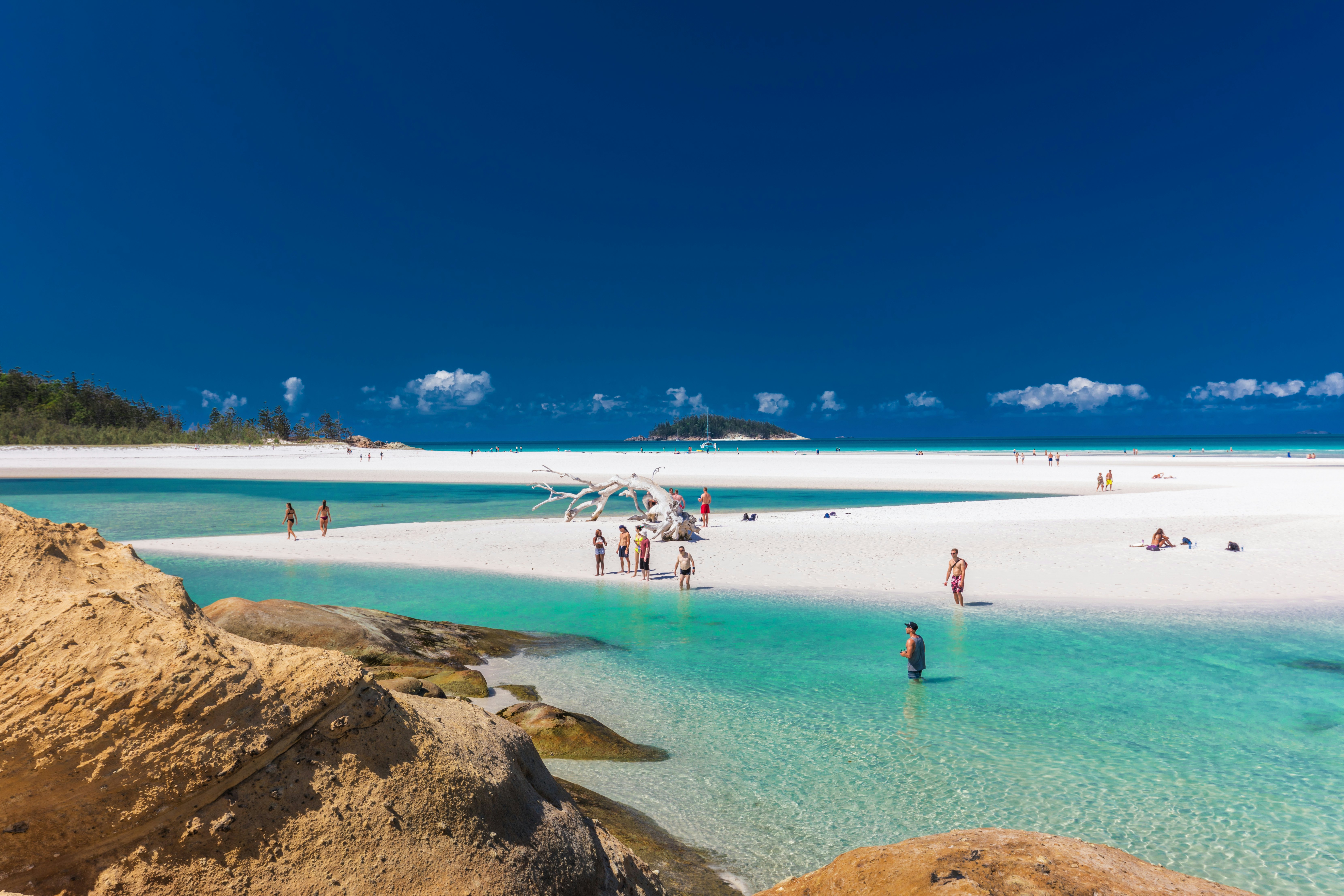 People stand in clear turquoise water and on white sand near a bleached tree log in Australia's Whitsunday Islands.