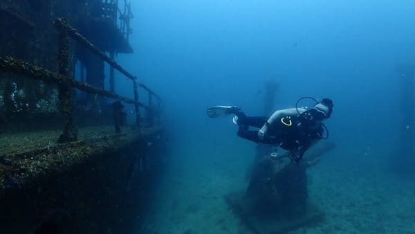 Guide to diving in Sri Lanka