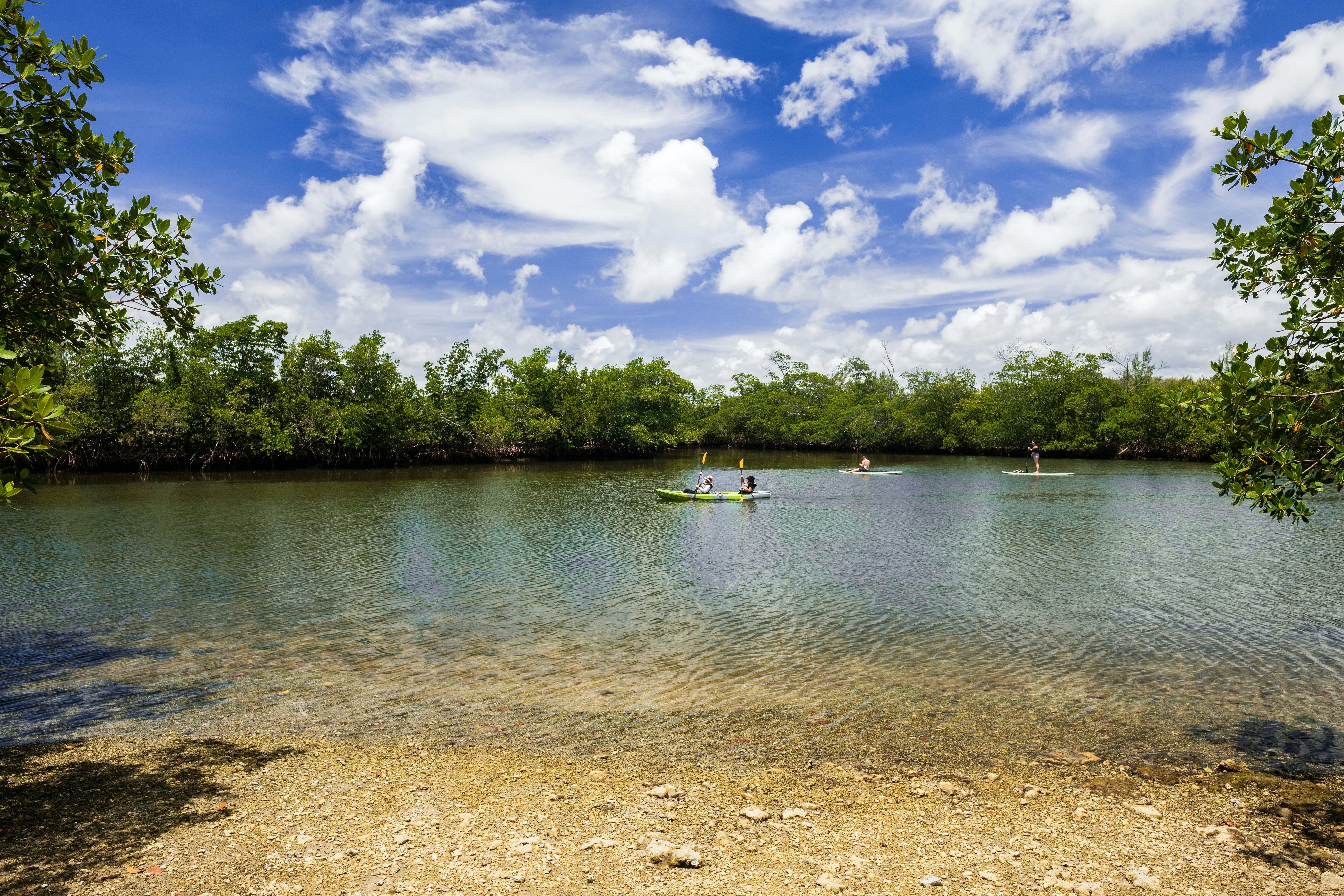 Two people in a kayak paddle along near two stand-up paddleboarders in a waterway surrounded by greenery.