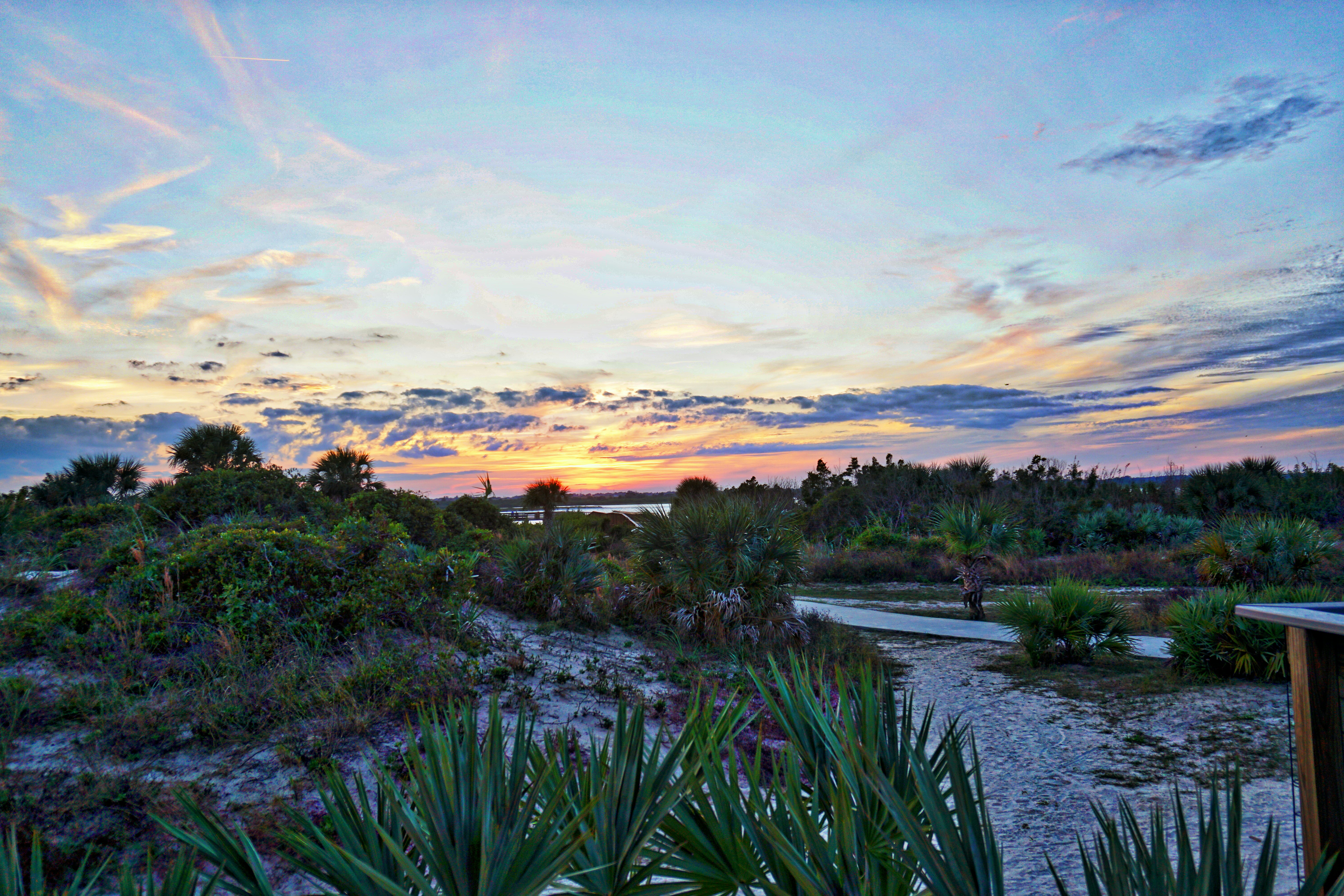 The dunes along New Smyrna Beach.