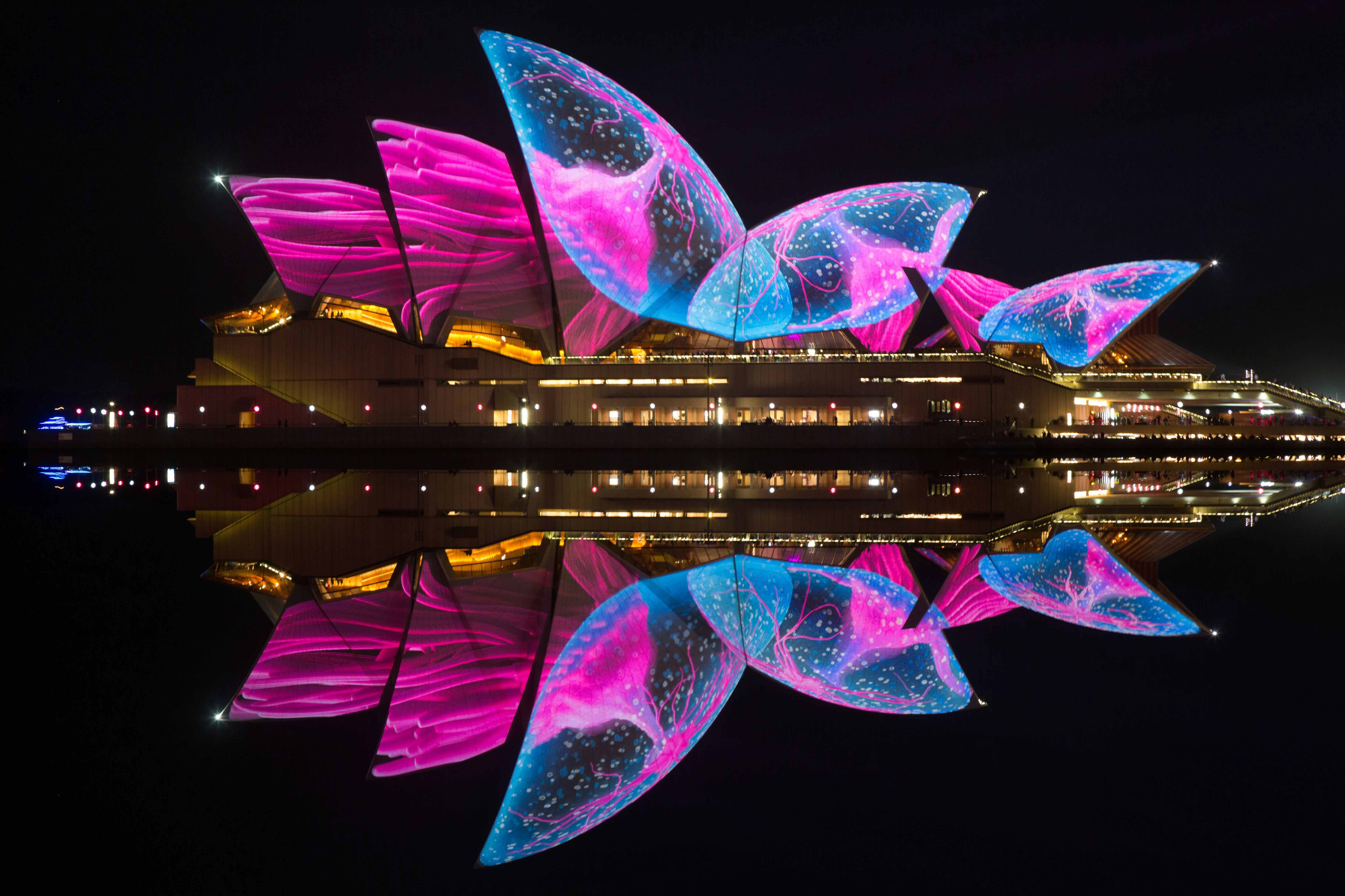 A building with striking architecture is illuminated at night with blue and pink lighting that makes patters on its exterior