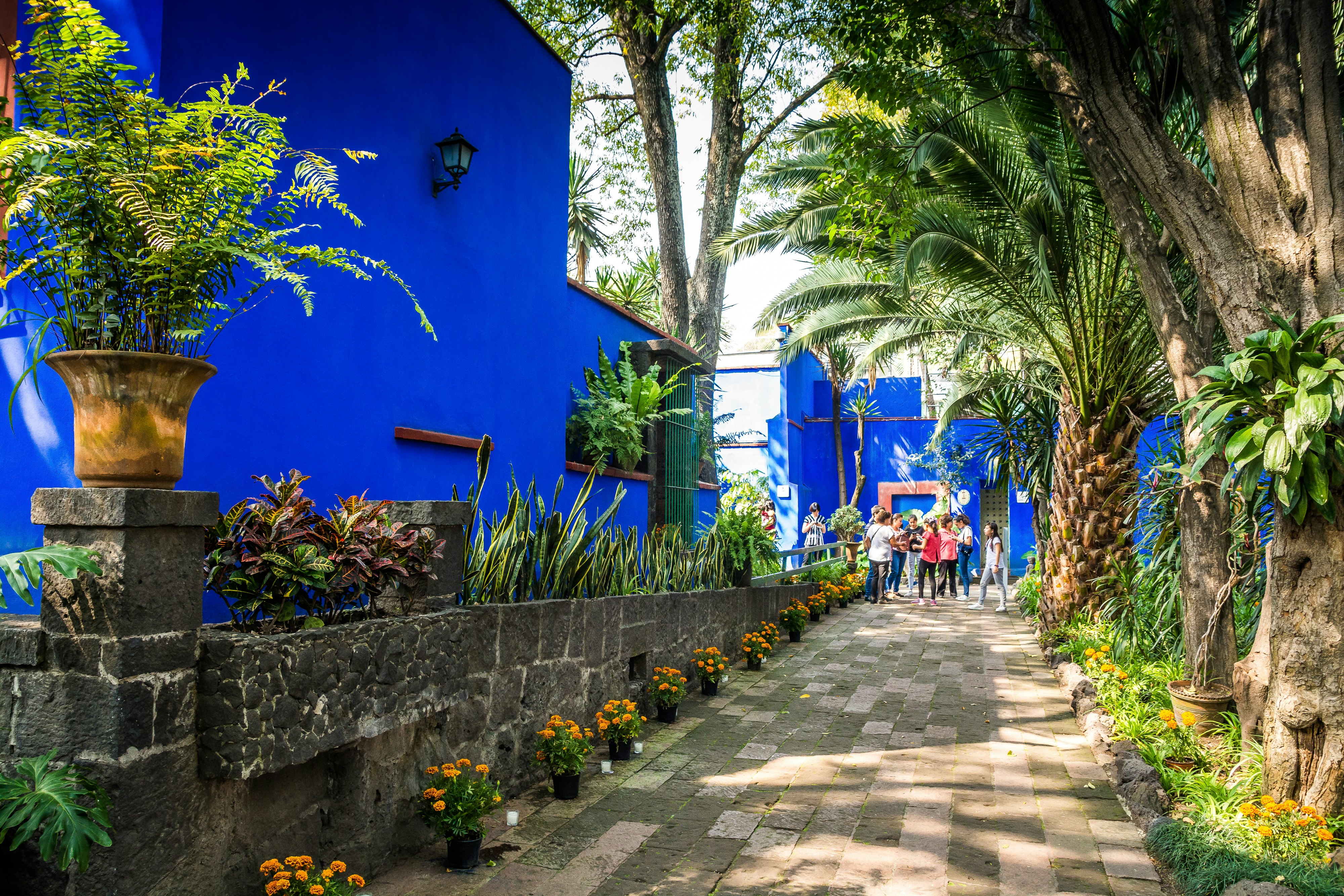 Young people are seen in a courtyard with beautiful plantings, including marigolds and palms, and a wall painted bright blue.