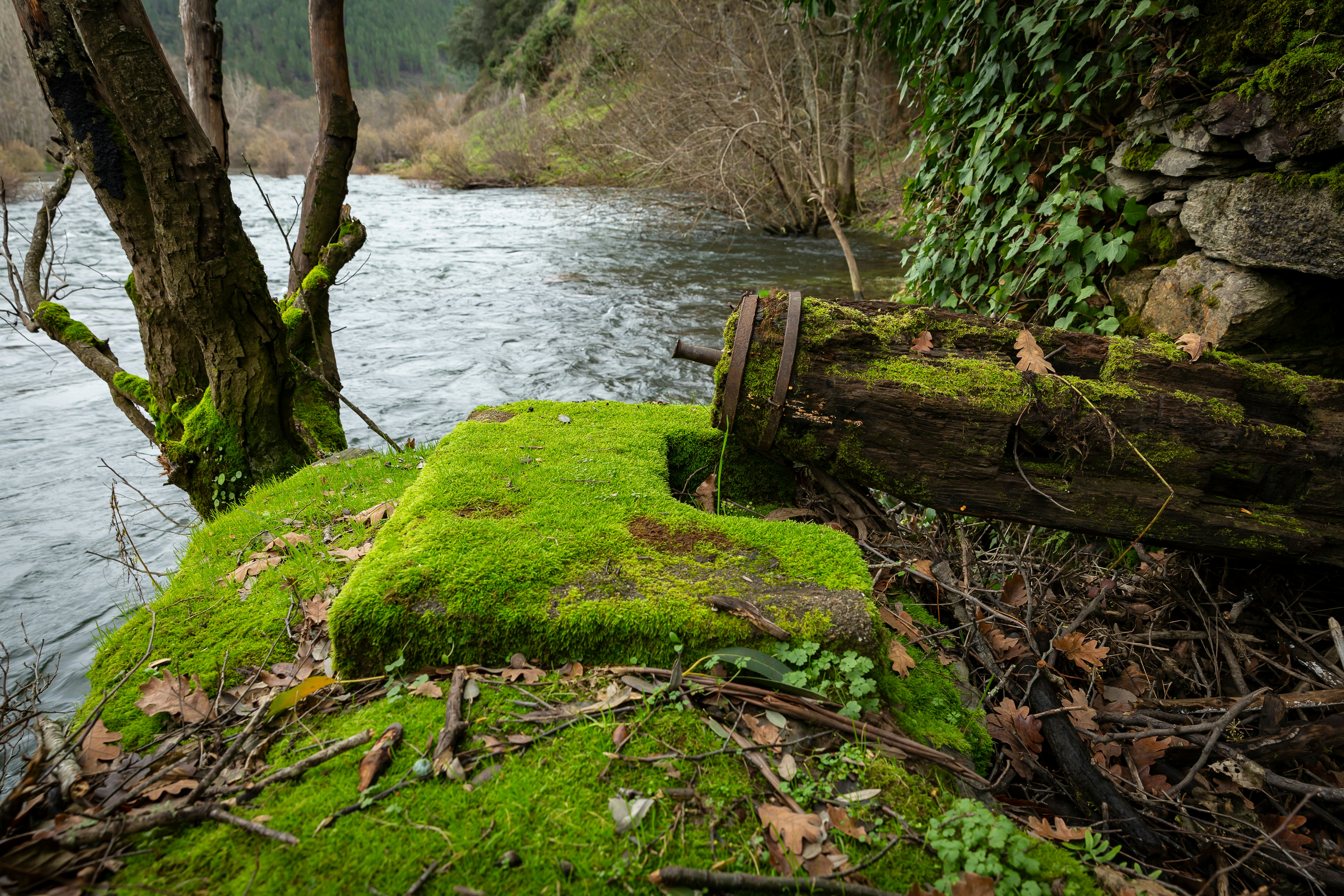 The moss-covered ruins of a mill on the bank of a river.