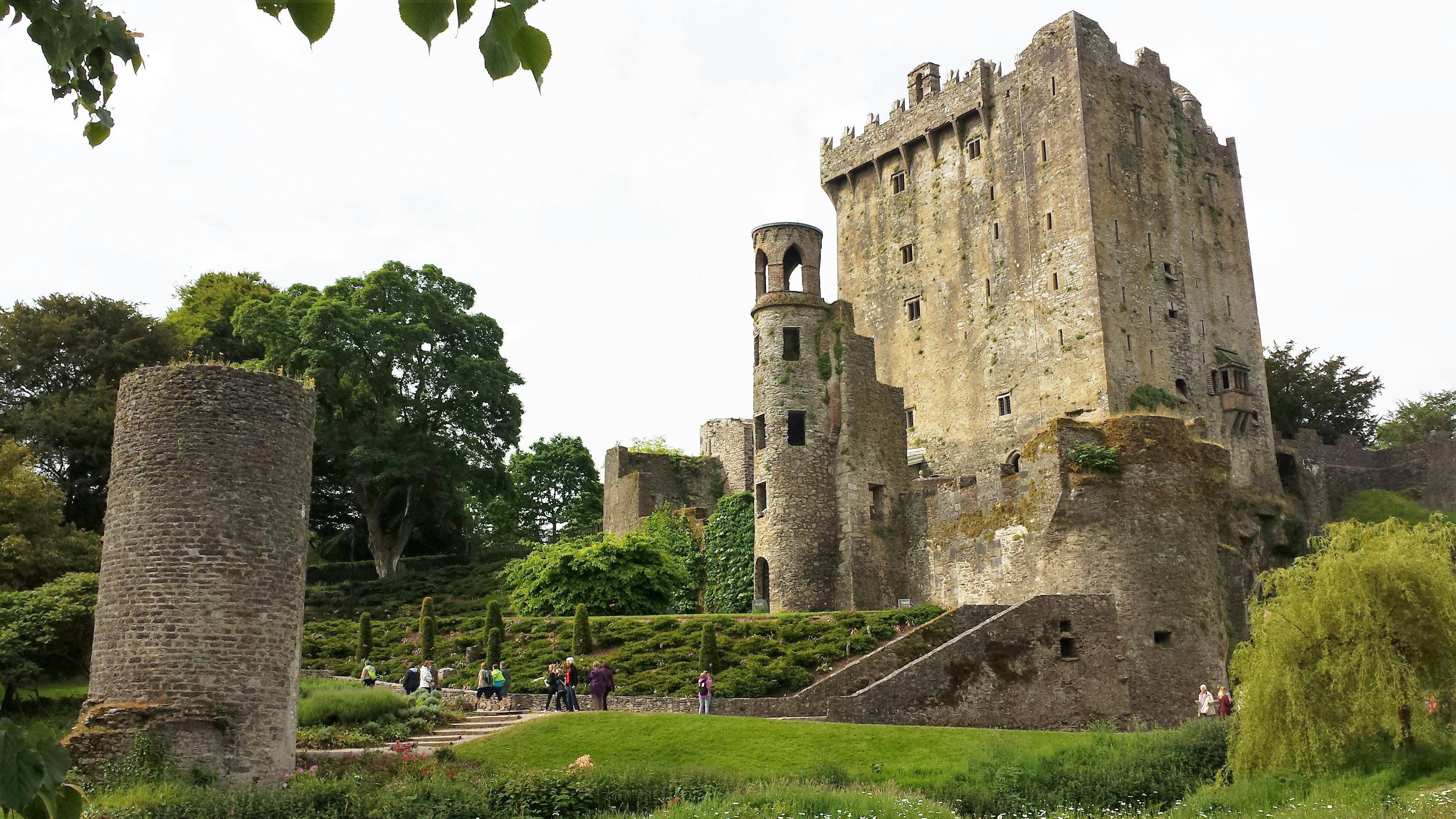 A tarnished castle surrounded by green trees. A few people mill around nearby at the foot of the structure.