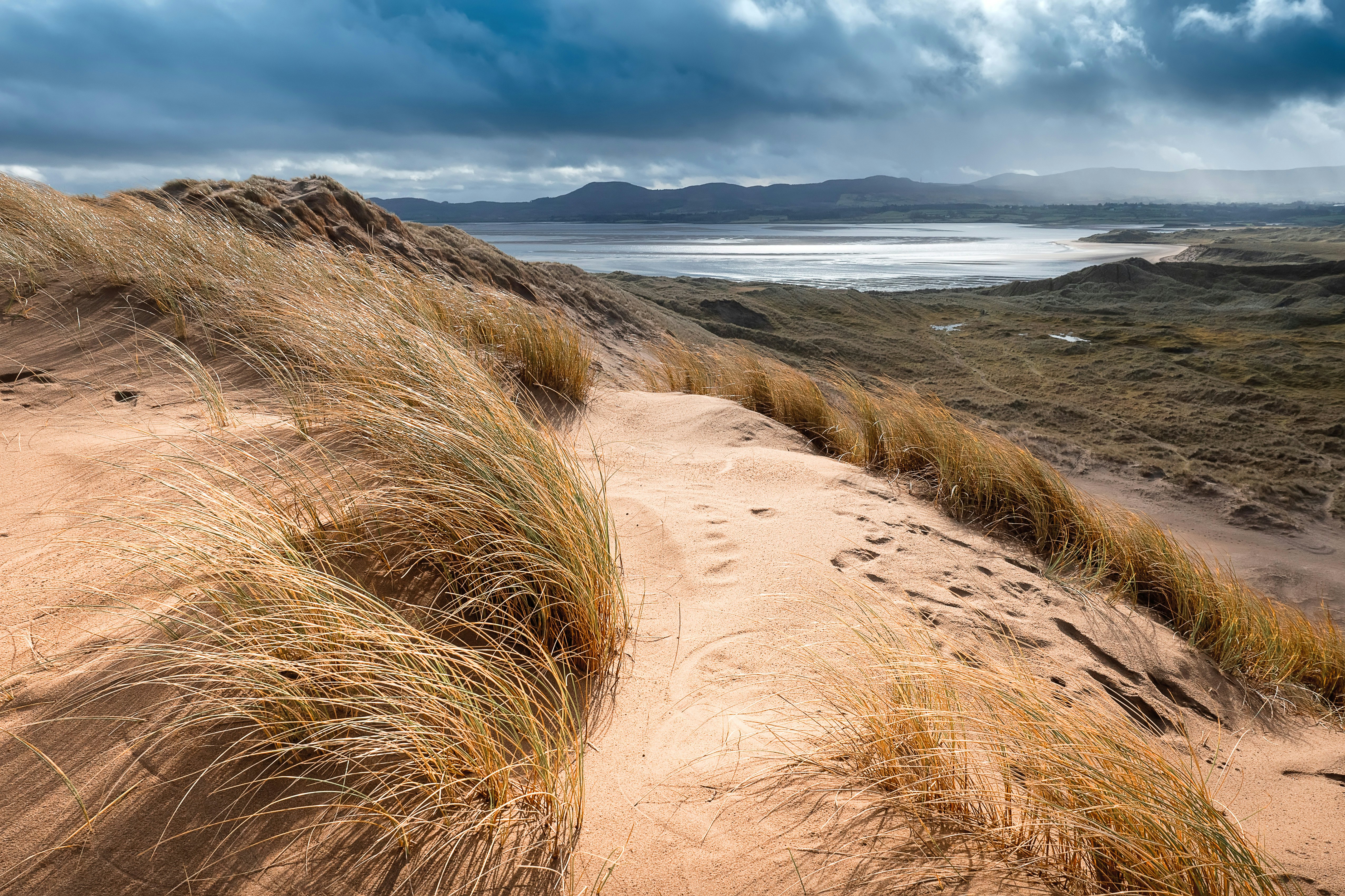 Dune scenery at Strandhill beach, Sligo, Ireland.