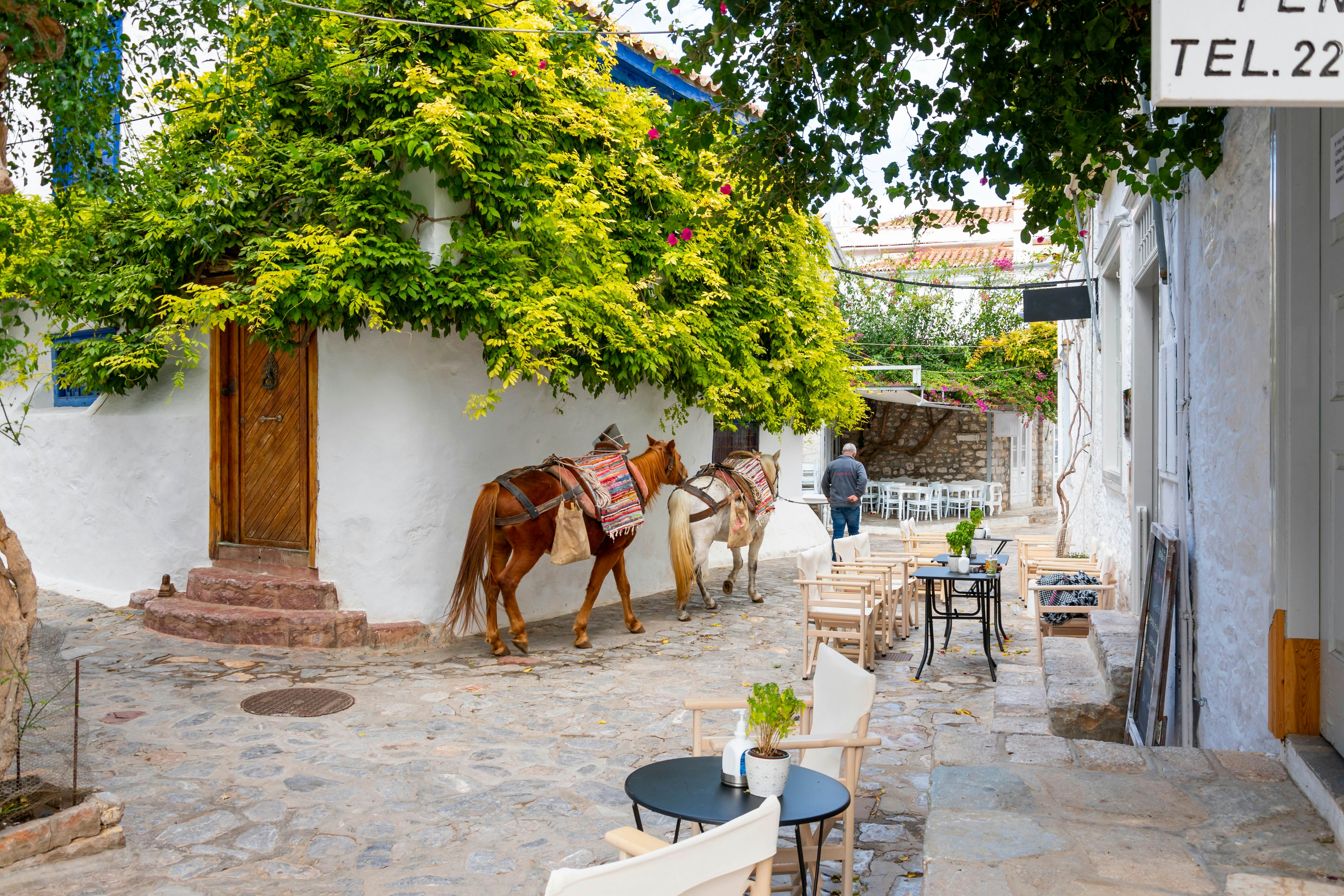 A Greek man pulls two horses down a narrow alley with a sidewalk cafe in the touristic old town village on the Greek island of Hydra, Greece., License Type: media, Download Time: 2025-03-11T19:20:53.000Z, User: rhylton_redventures, Editorial: false, purchase_order: 56530 - Guidebooks, job: Lonely Planet , client: Lonely Planet WIP, other: Rhianydd Hylton