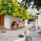 A Greek man pulls two horses down a narrow alley with a sidewalk cafe in the touristic old town village on the Greek island of Hydra, Greece., License Type: media, Download Time: 2025-03-11T19:20:53.000Z, User: rhylton_redventures, Editorial: false, purchase_order: 56530 - Guidebooks, job: Lonely Planet , client: Lonely Planet WIP, other: Rhianydd Hylton