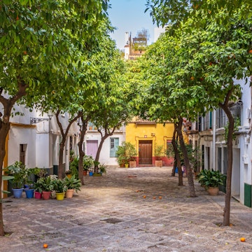 View of the Barrio de Santa Cruz in Seville, Spain, License Type: media, Download Time: 2025-02-18T21:18:57.000Z, User: katelyn.perry_lonelyplanet, Editorial: false, purchase_order: 65050 - Digital Destinations and Articles, job: WiP, client: WiP, other: Katelyn Perry