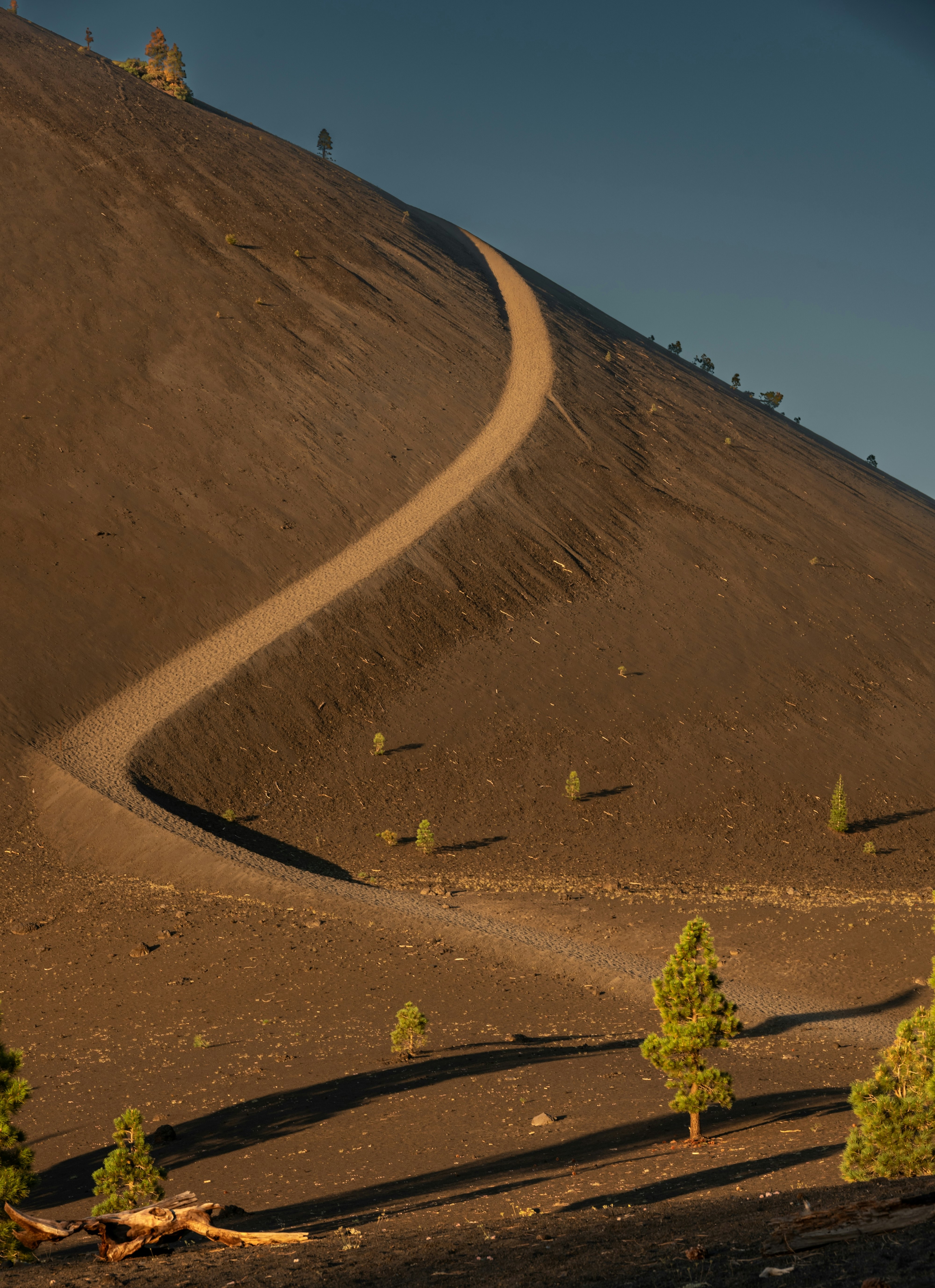 A path through a barren landscape with a few freestanding trees winds up a steep incline in California.