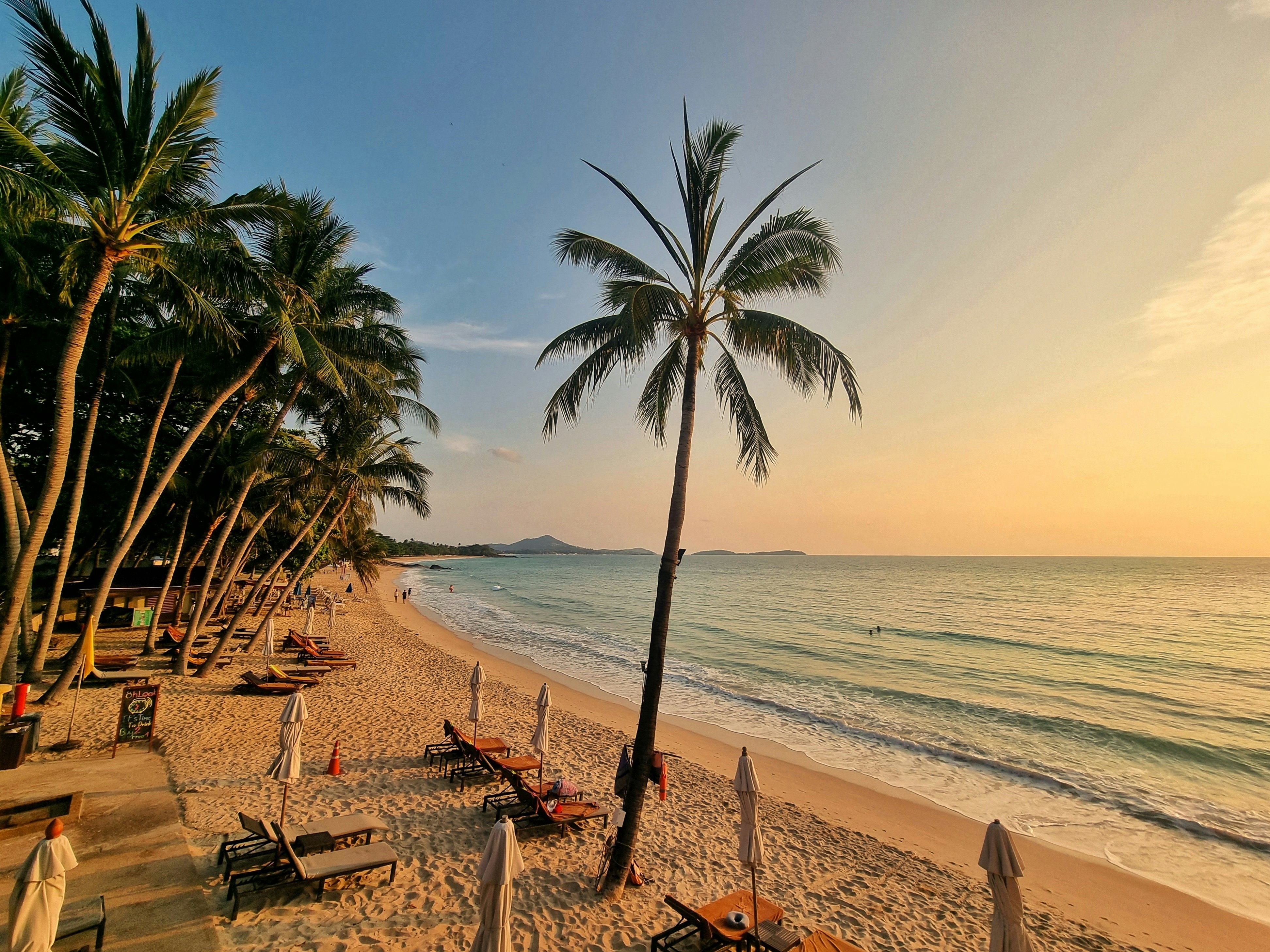 A palm tree-lined beach bathed in golden sunlight. Loungers and umbrellas line the sand.