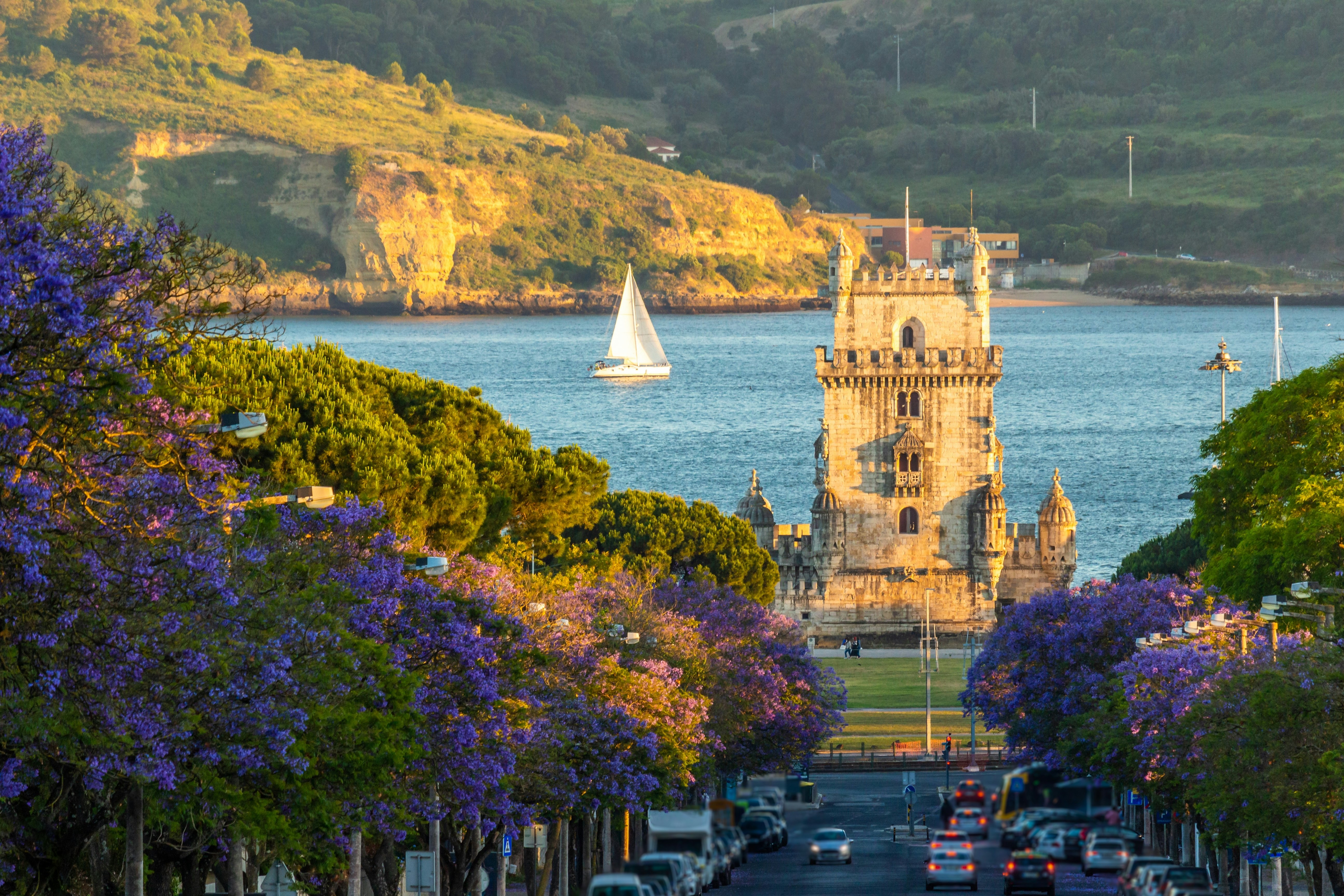 Cars traveling on a street leading to a tower on a shore. Trees with blooming purple flowers line the street. A sailboat is visible on the water.