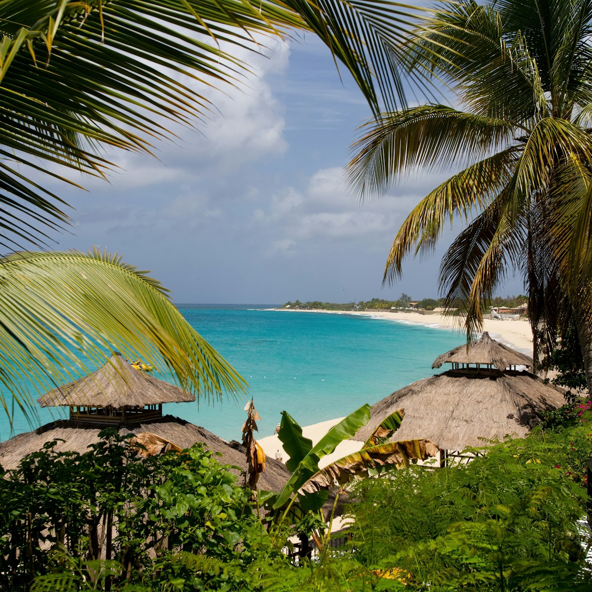 View of beach through palm trees La Samanna Baie Longue St Martin Sint Maarten French West Indies, License Type: media, Download Time: 2026-01-08T15:04:15.000Z, User: rhylton_redventures, Editorial: false, purchase_order: 65050 - Digital Destinations and Articles, job: Lonely Planet, client: wip, other: Rhianydd Hylton