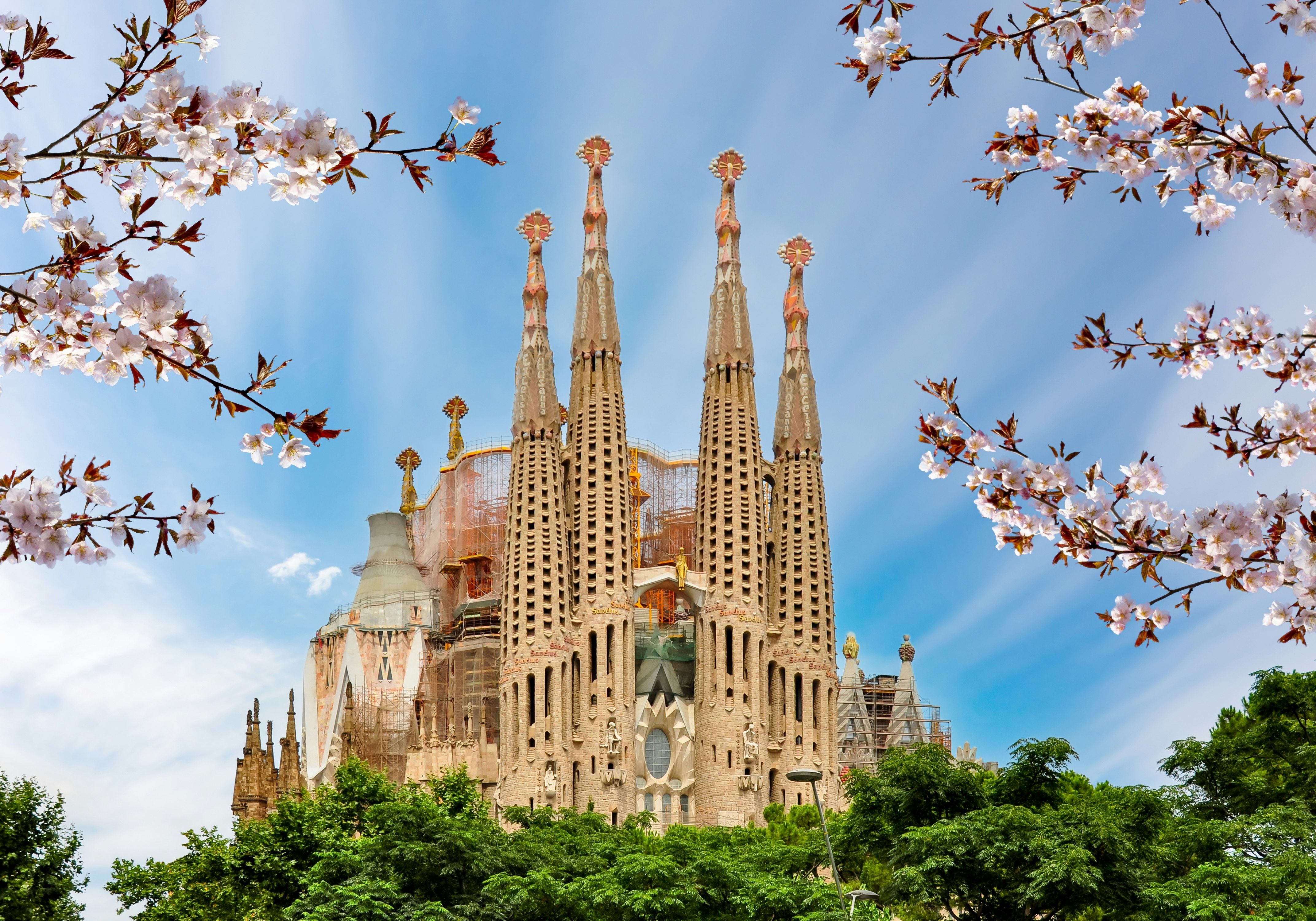 La Sagrada Familia cathedral with pink flowers and green leaves in the foreground