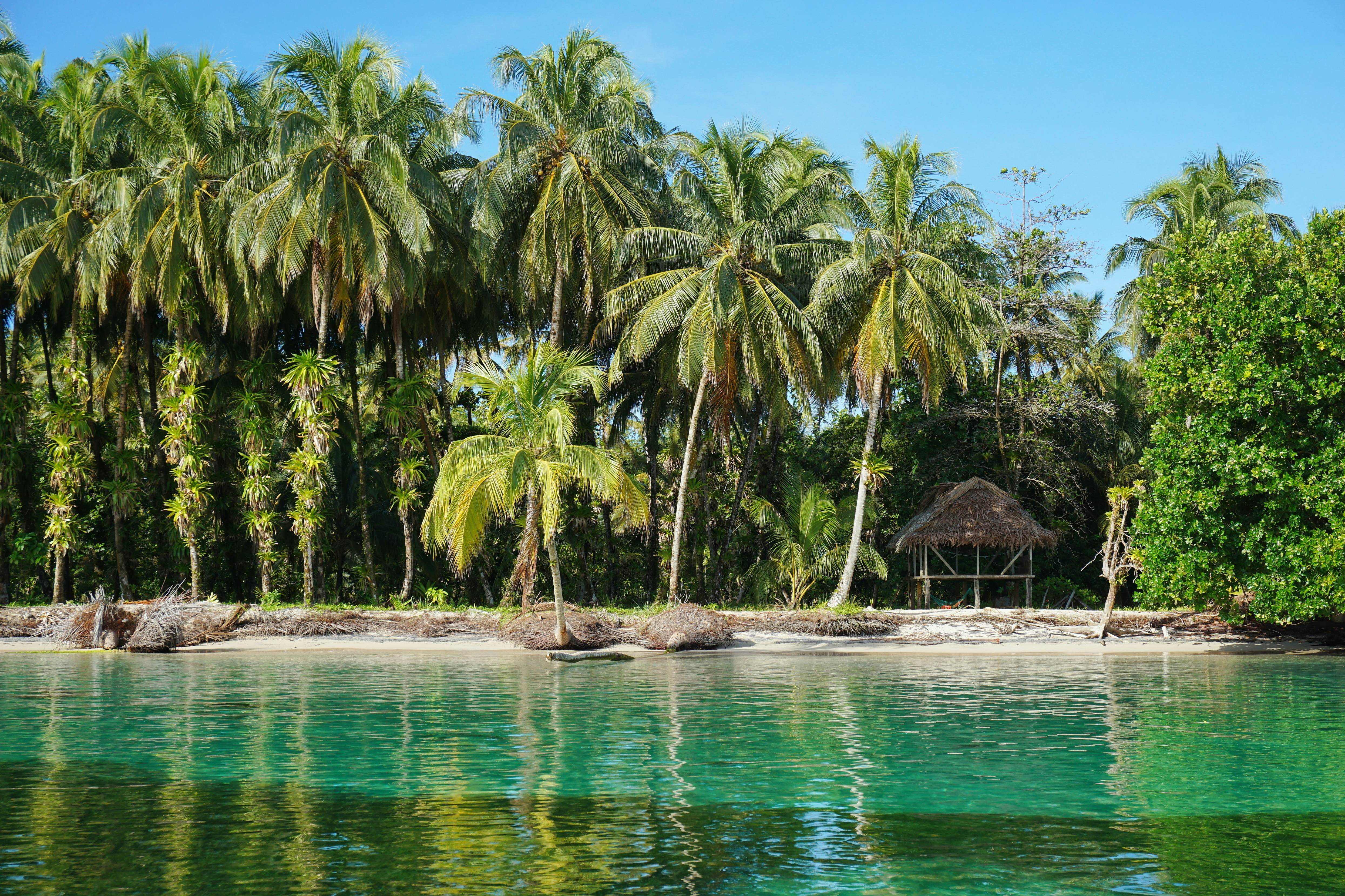 Tropical shore with lush coconut trees and a thatched hut, Caribbean, Zapatillas islands, Bocas del Toro, Panama, License Type: media, Download Time: 2025-05-22T13:22:40.000Z, User: lonelyplanetmedia, Editorial: false, purchase_order: 65050 - Digital Destinations and Articles, job: Global Publishing WIP, client: Global Publishing WIP, other: Pia Peterson Haggarty // SS Comp Ingestion