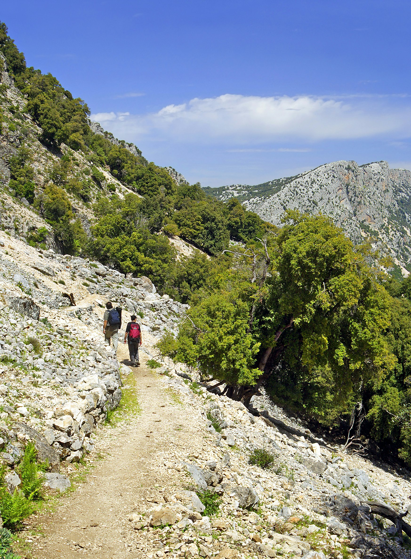 Gola Su Goroppu - Gorge, throat Goroppu is one of the symbols of the mountains Gennargentu in Sardinia, Italy.