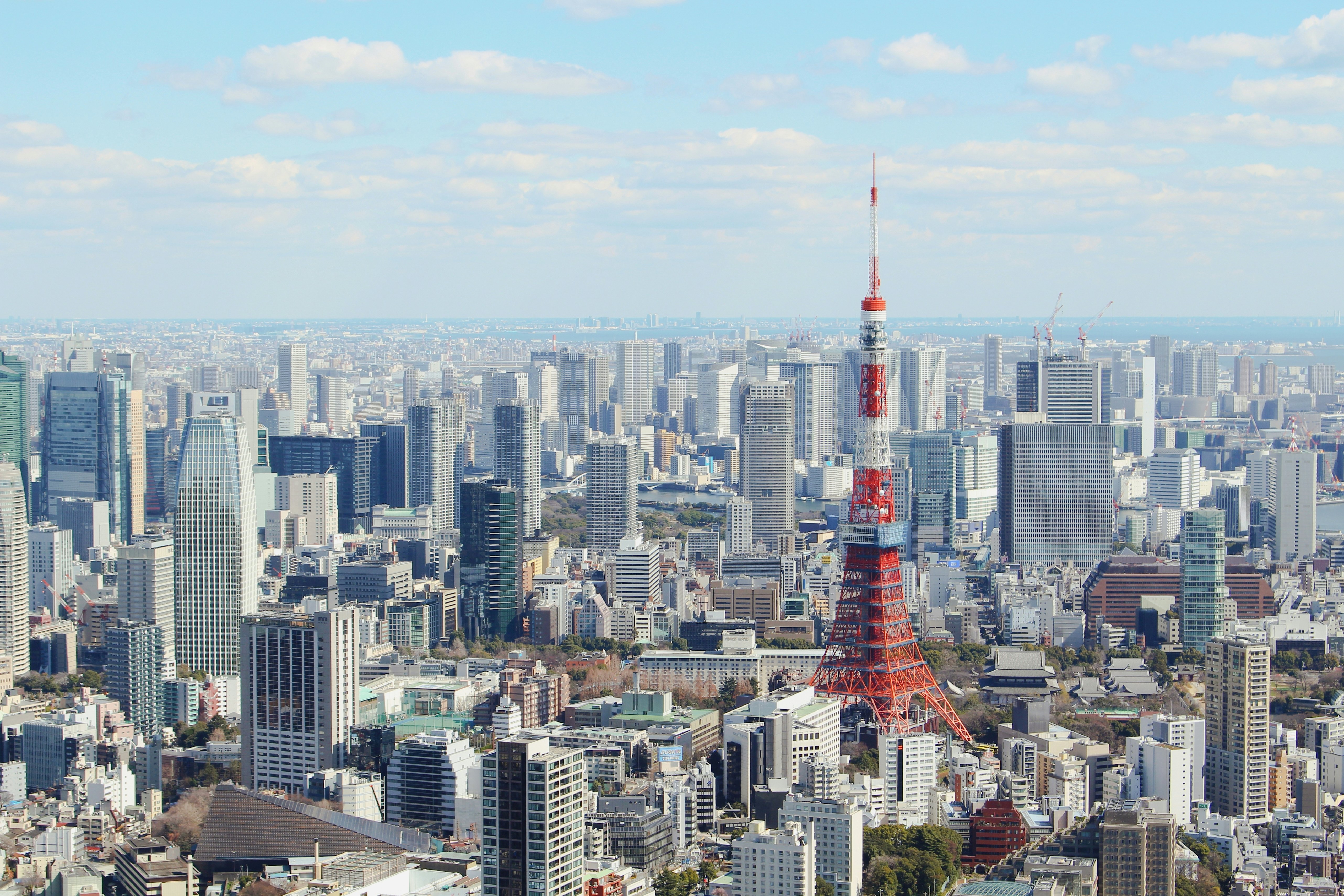 A view of the Tokyo Tower and the city skyline, Tokyo, Japan.