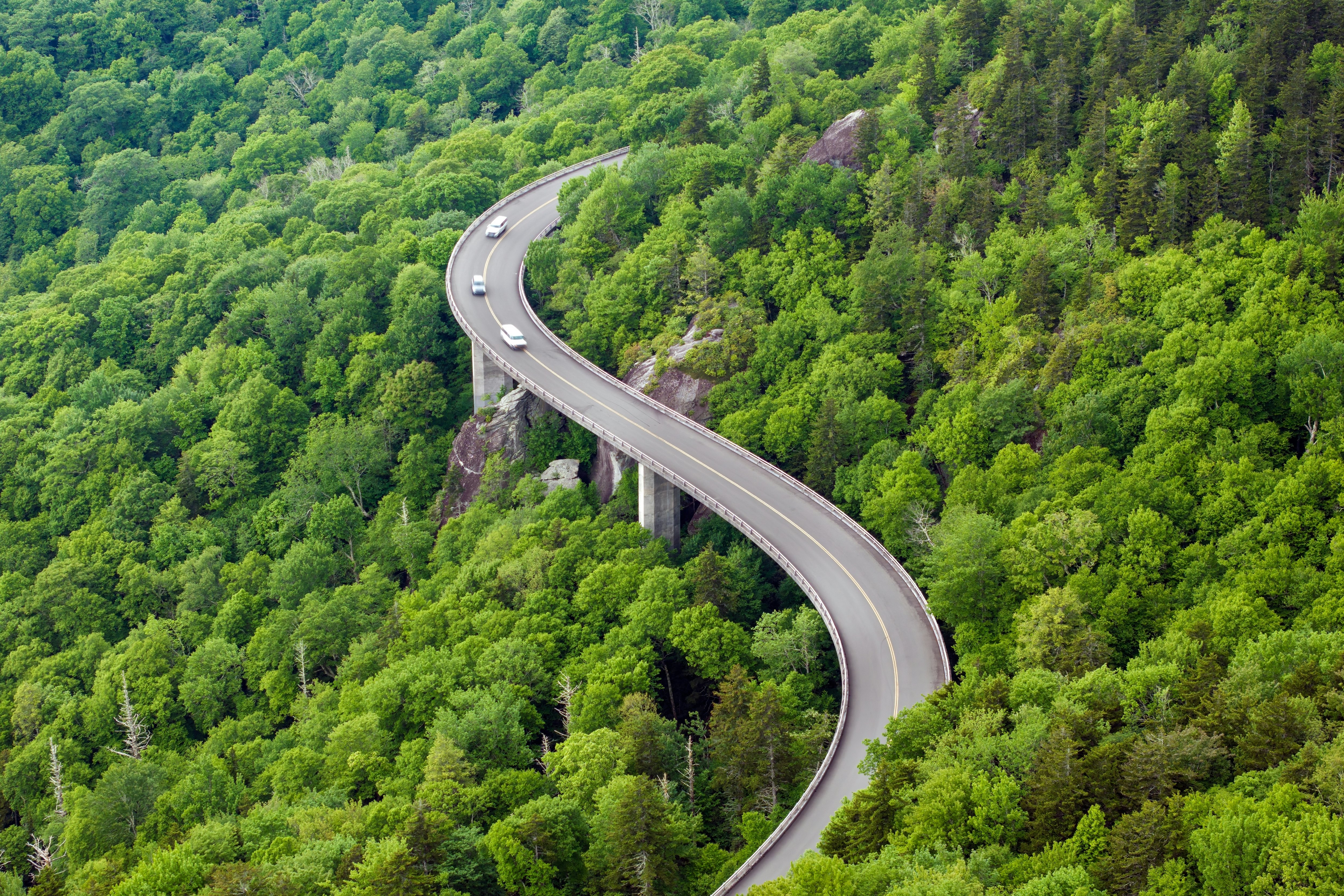 Cars follow an elevated section of the Blue Ridge Parkway through the forest in North Carolina, USA.